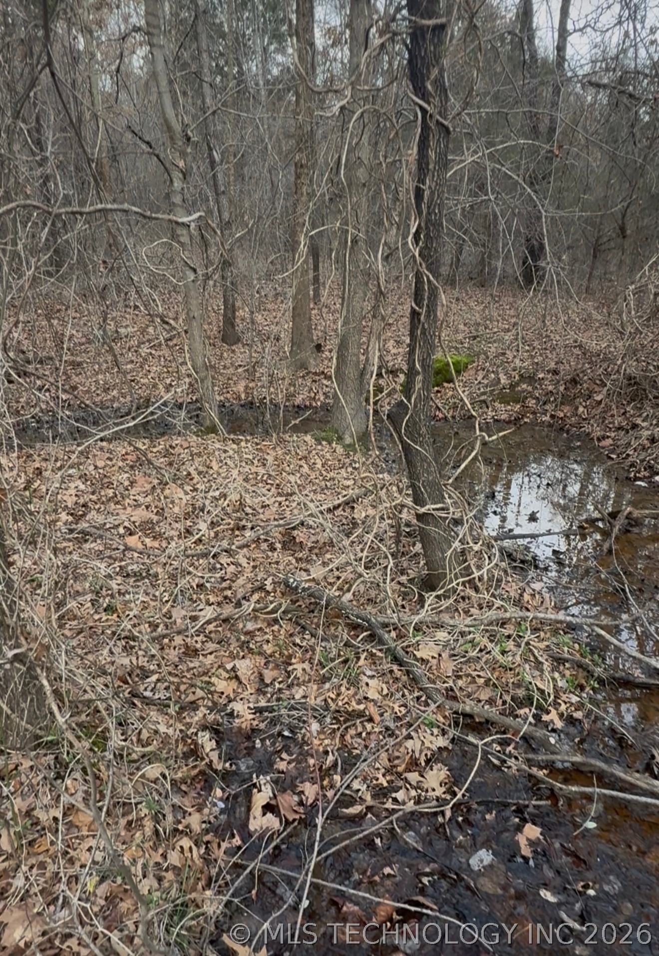 Calhoun Road Property Photo 8