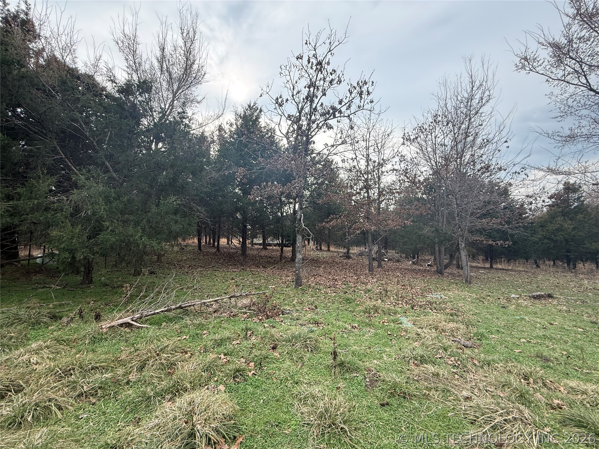 Calhoun Road Property Photo 13