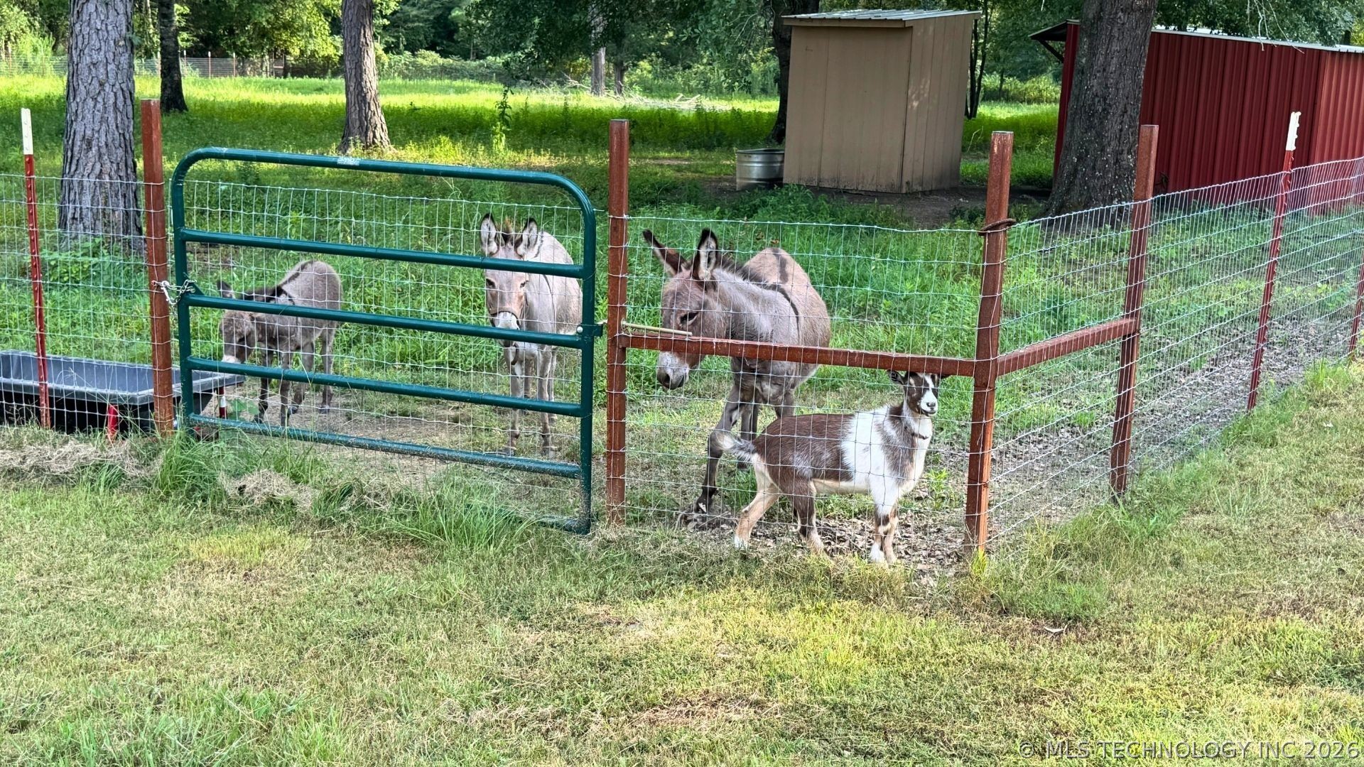 52901 201st Avenue Property Photo 84