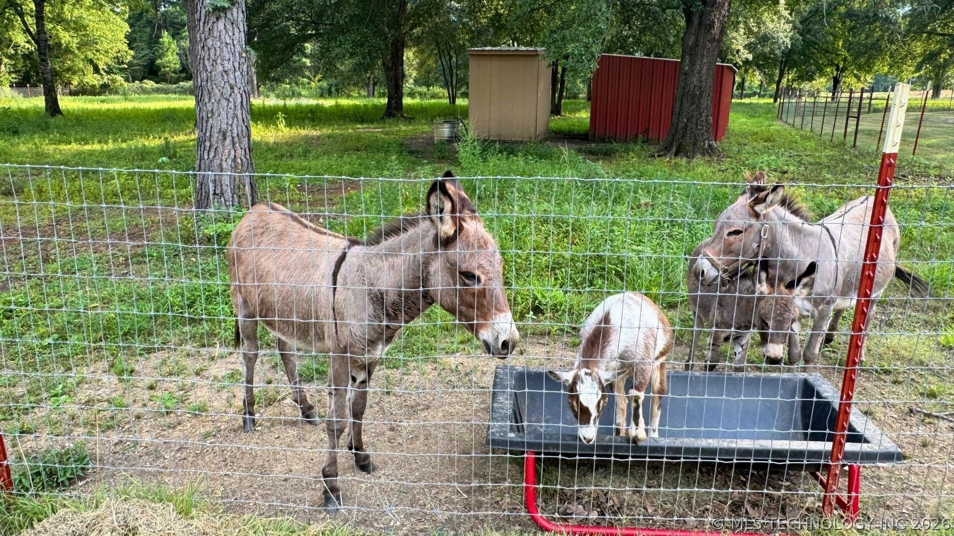 52901 201st Avenue Property Photo 85