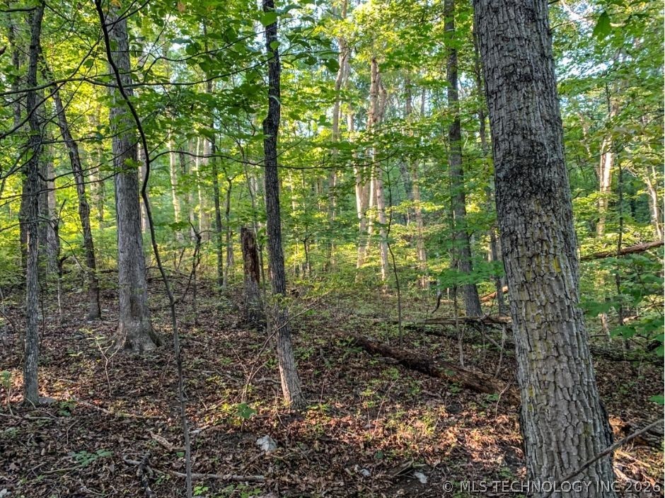 Ranch Road Property Photo 2