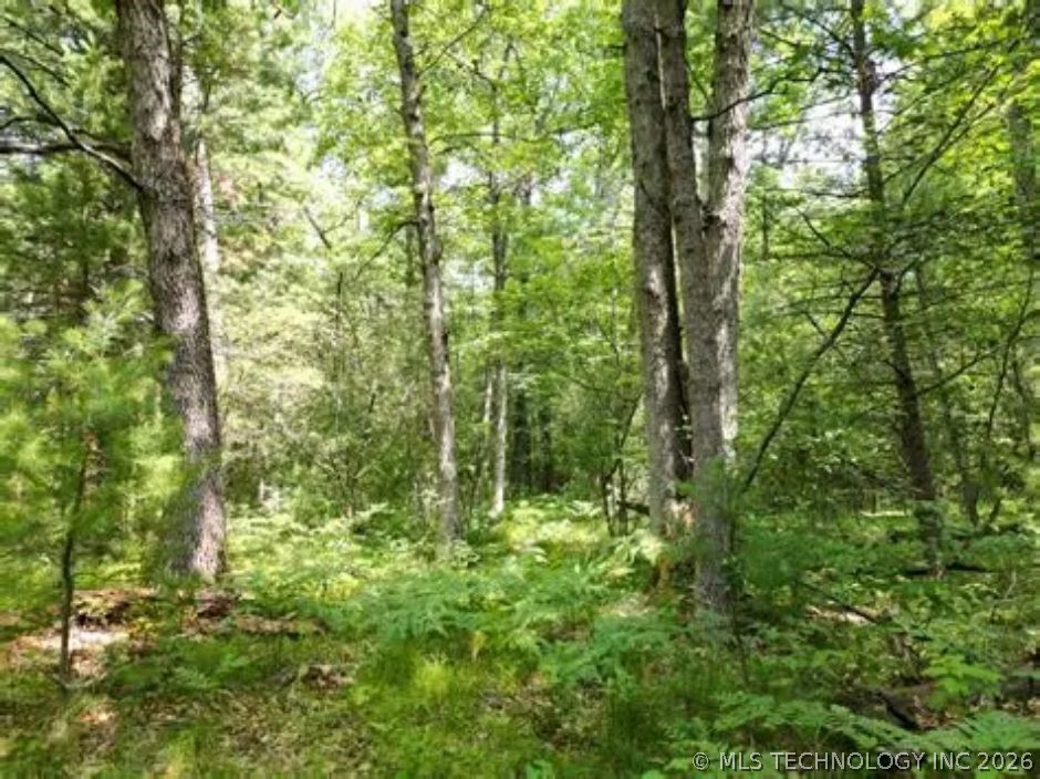 Ranch Road Property Photo 3