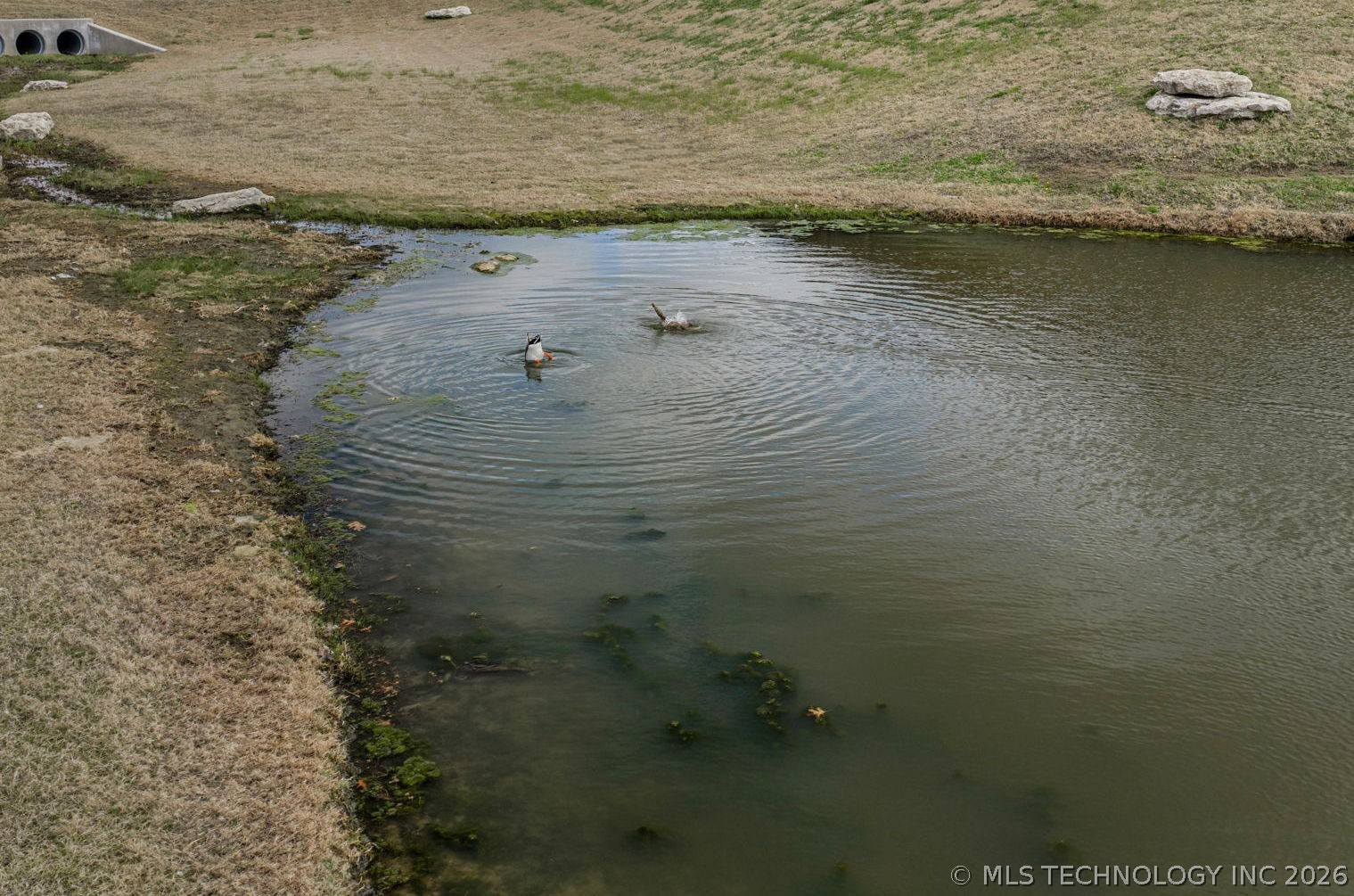 7403 E 87th Street N Property Photo 44