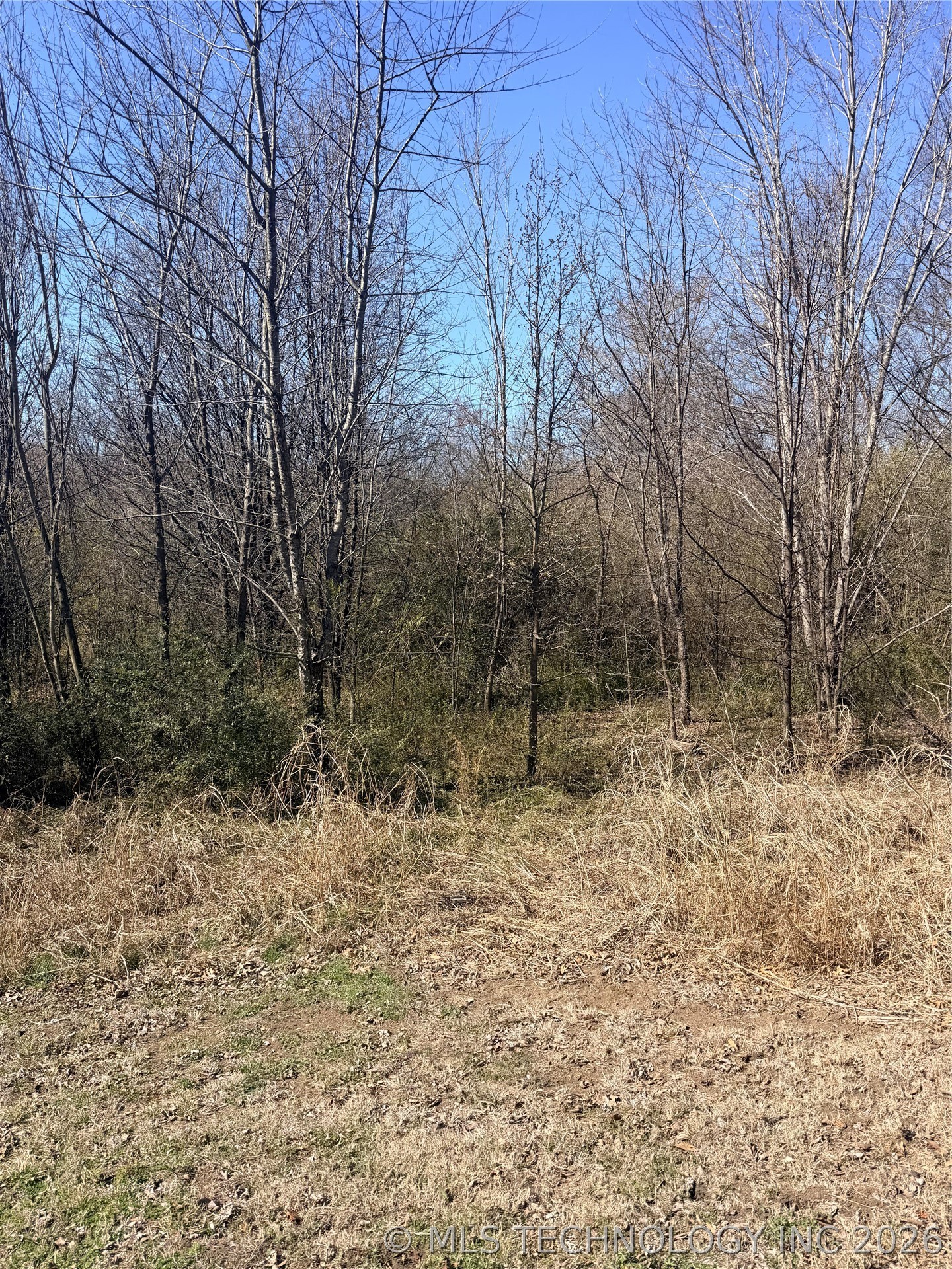 S 337th Court Property Photo 2