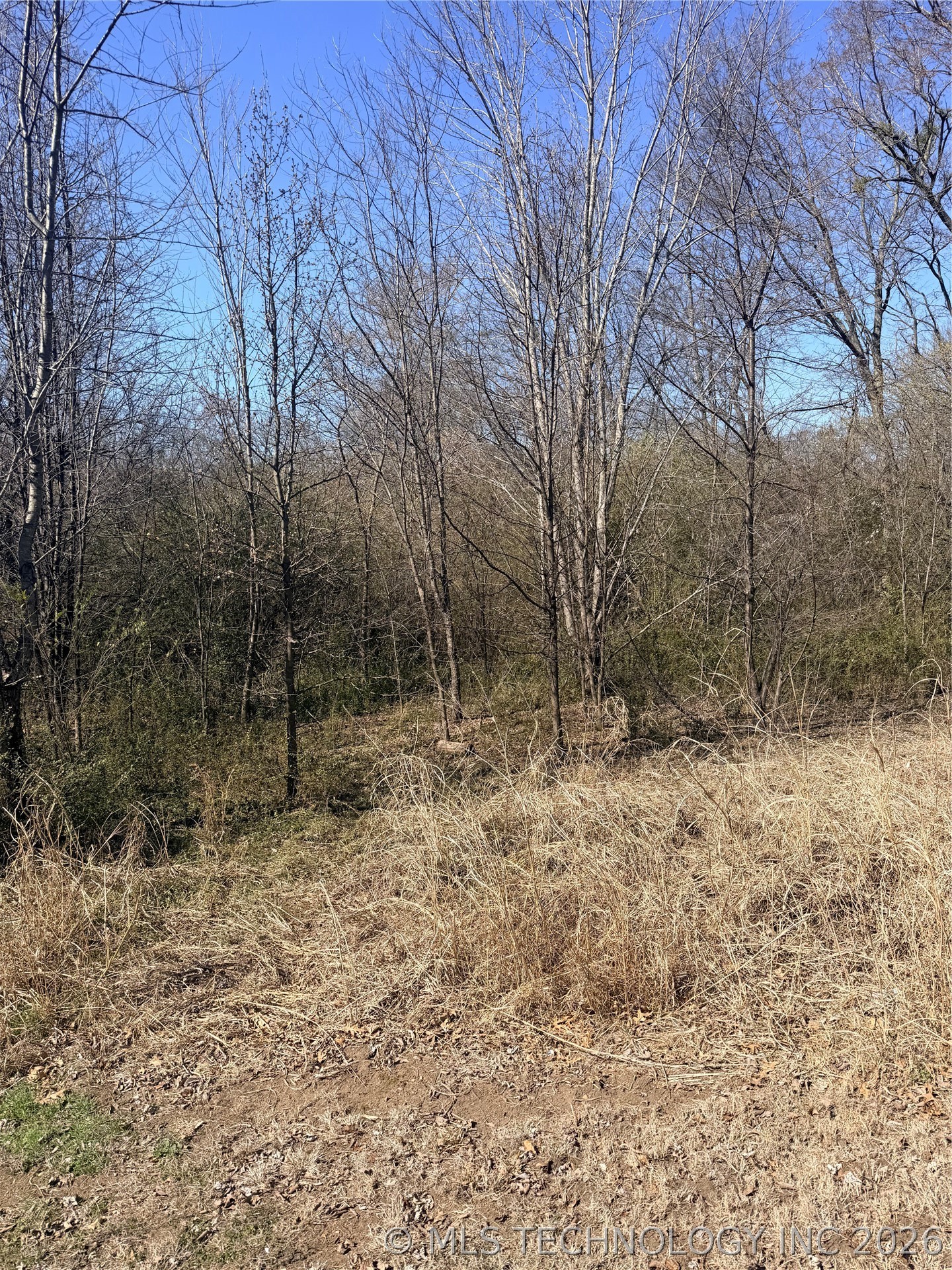 S 337th Court Property Photo 3