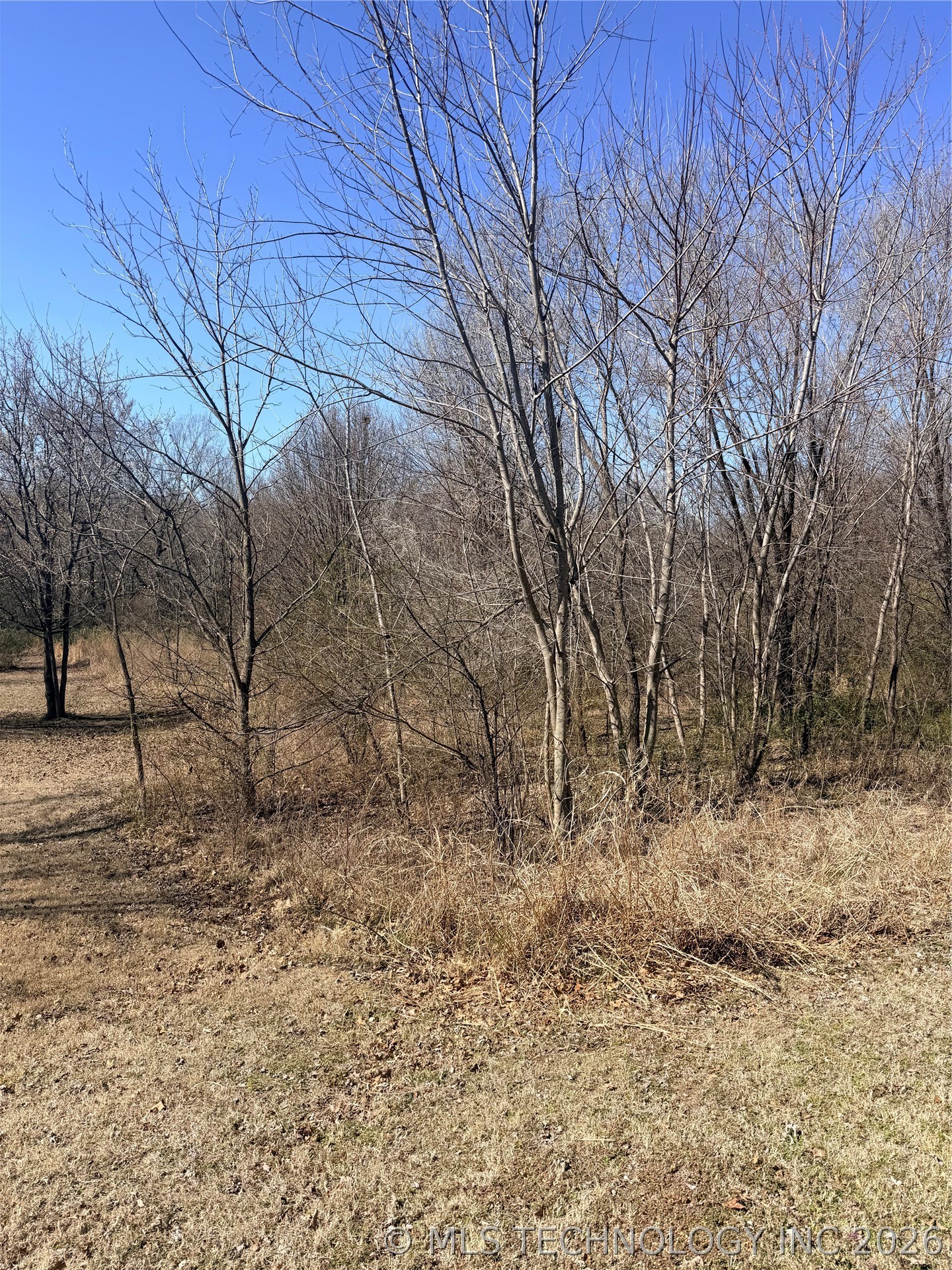 S 337th Court Property Photo 4