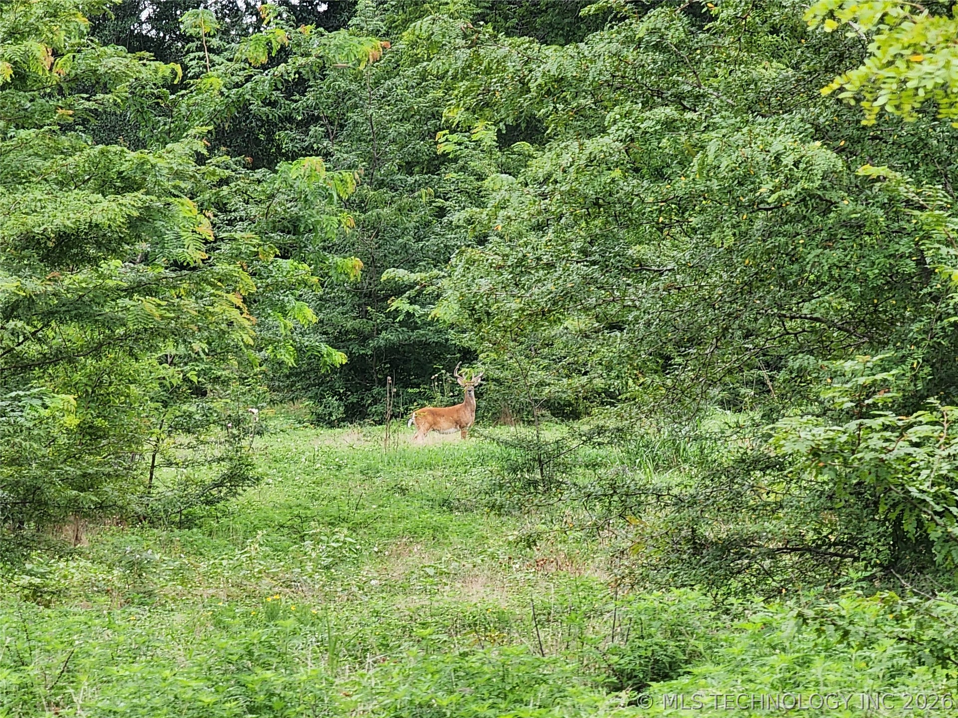 State Highway 63 Property Photo 1