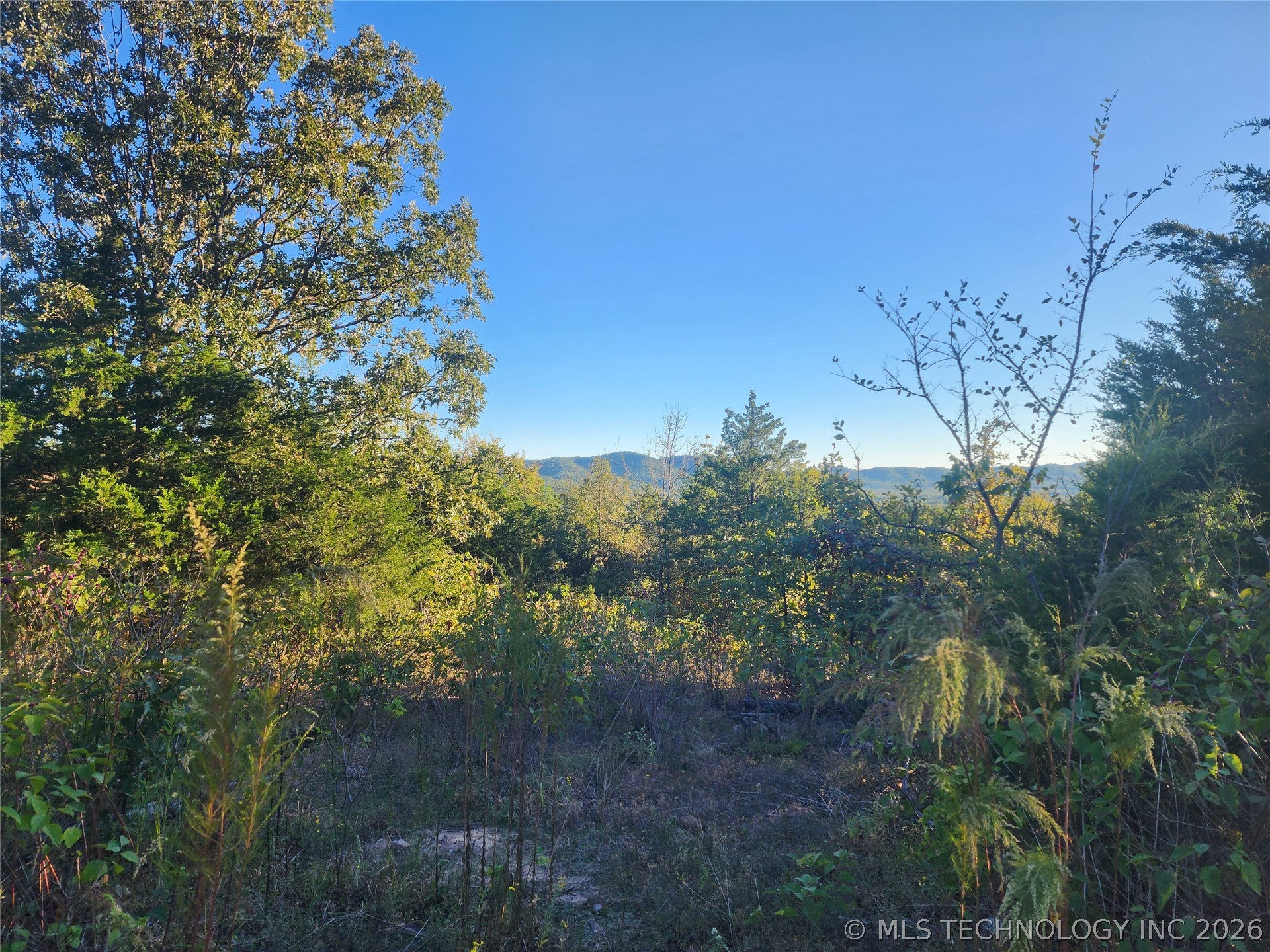 State Highway 63 Property Photo 3