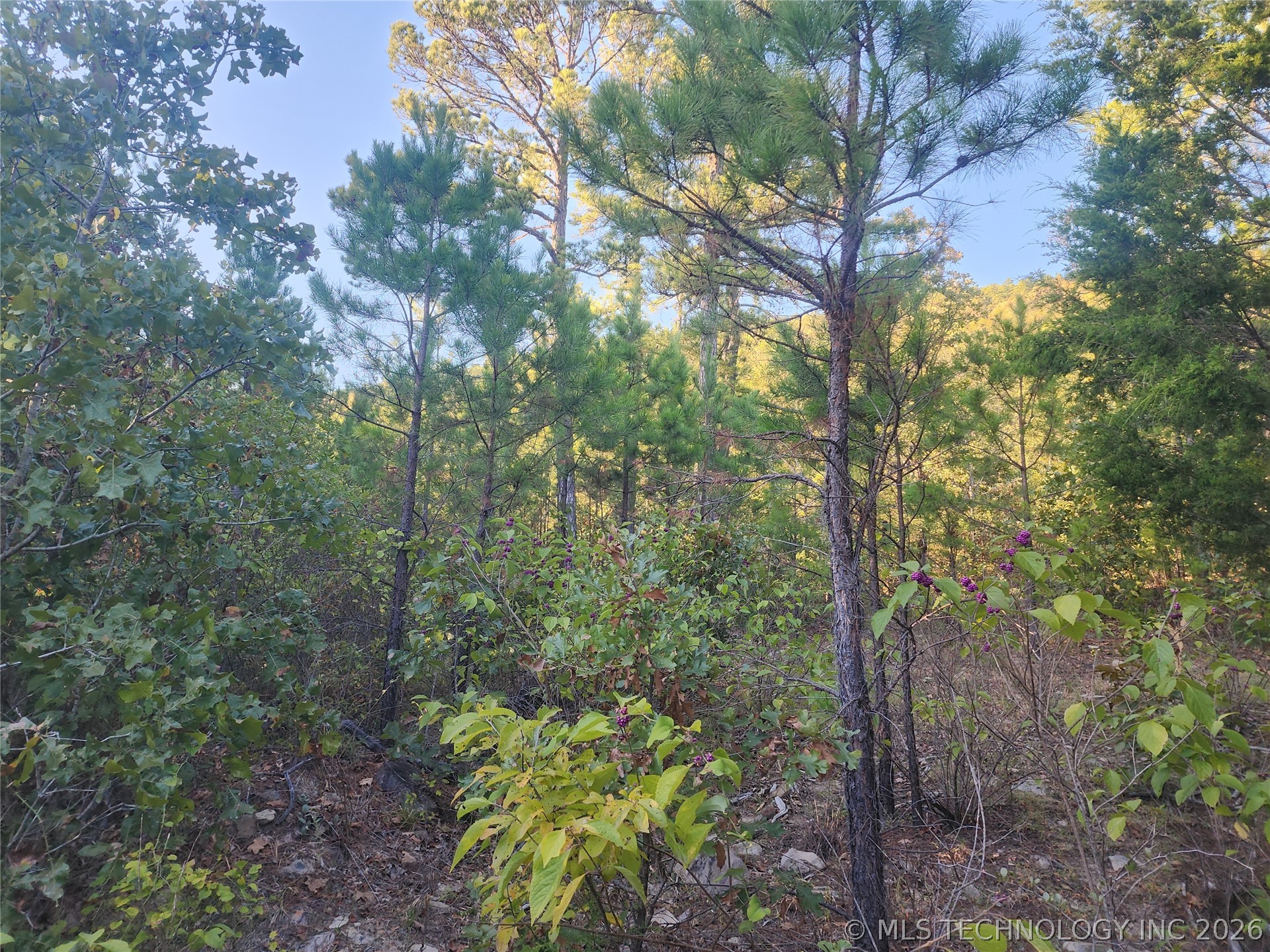 State Highway 63 Property Photo 4