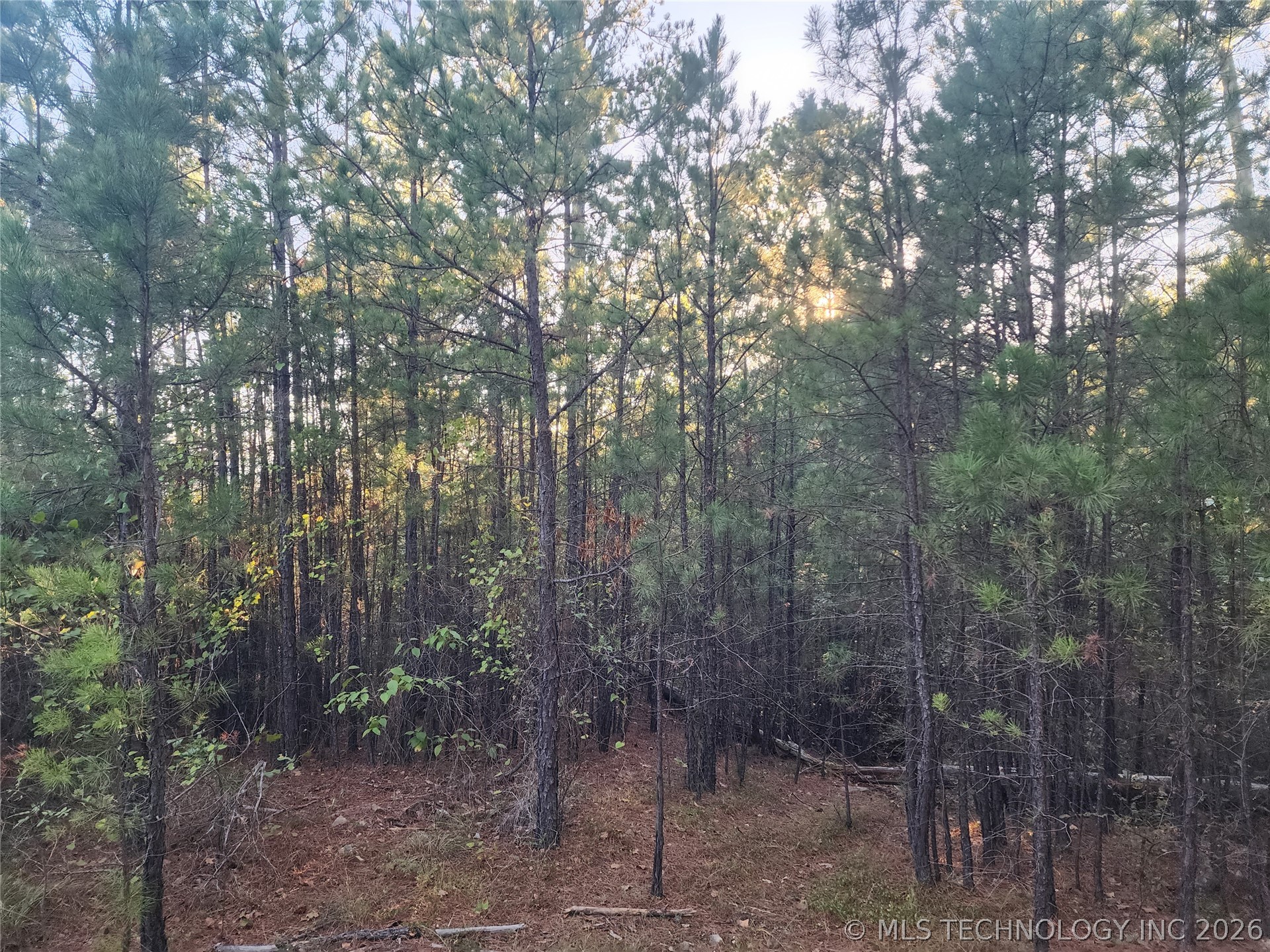 State Highway 63 Property Photo 5