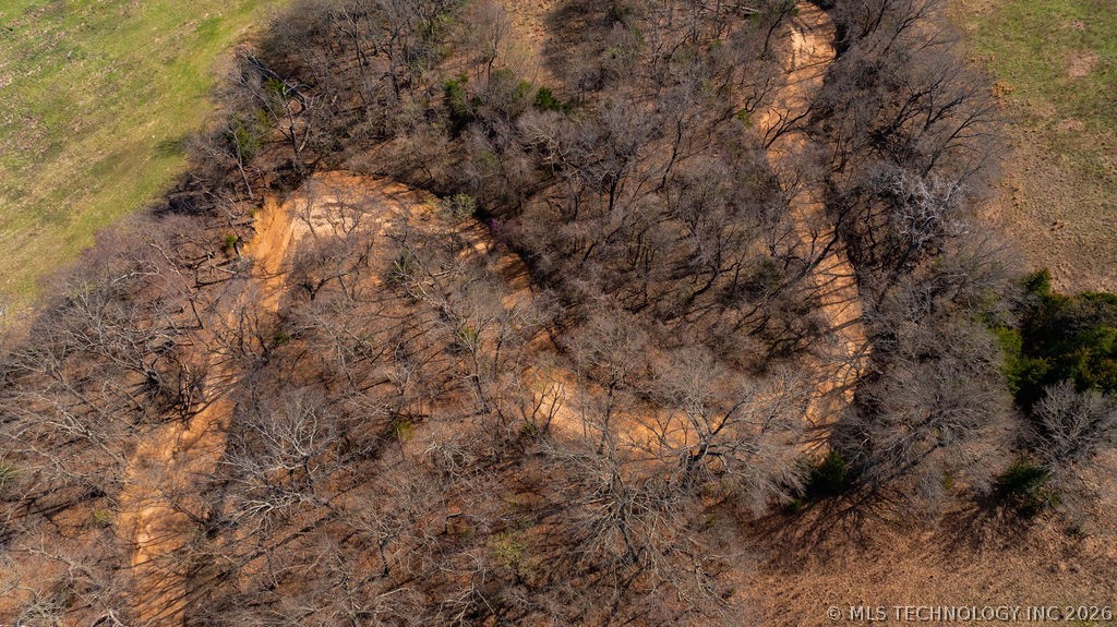 20151 County Road 3470 Property Photo 45