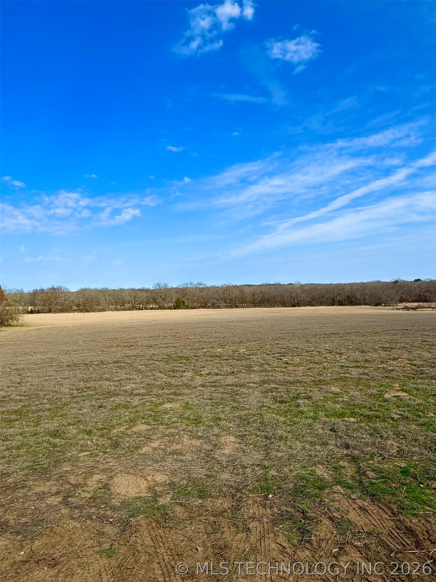 4090 Miller Jumbo Road Property Photo 8