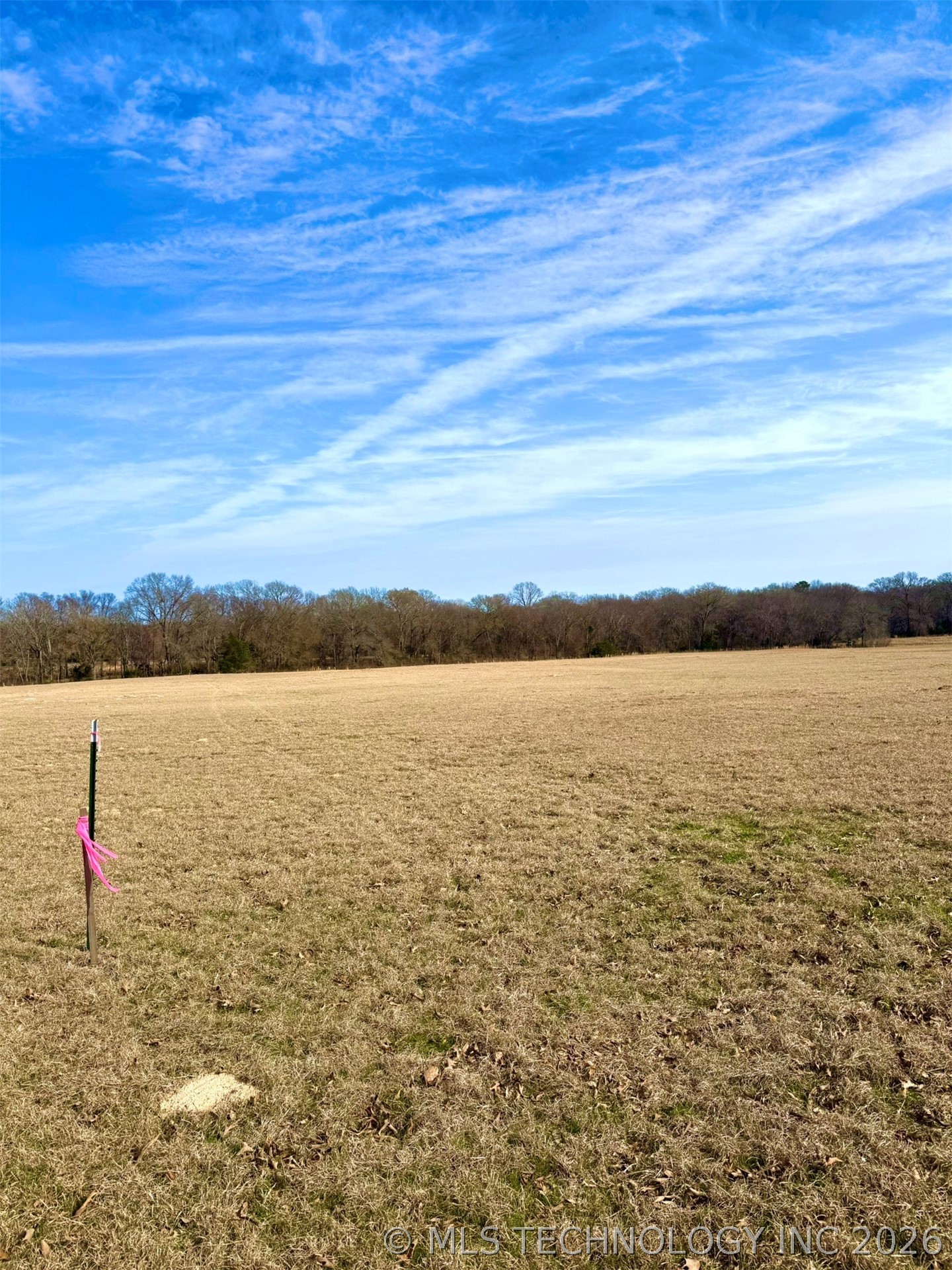 4090 Miller Jumbo Road Property Photo 9