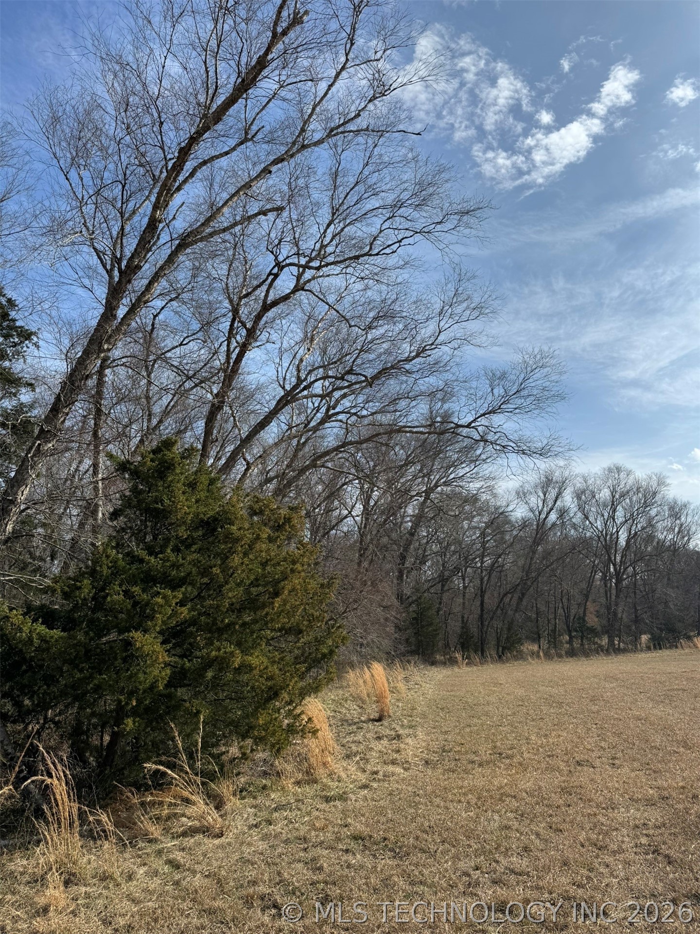4090 Miller Jumbo Road Property Photo 10