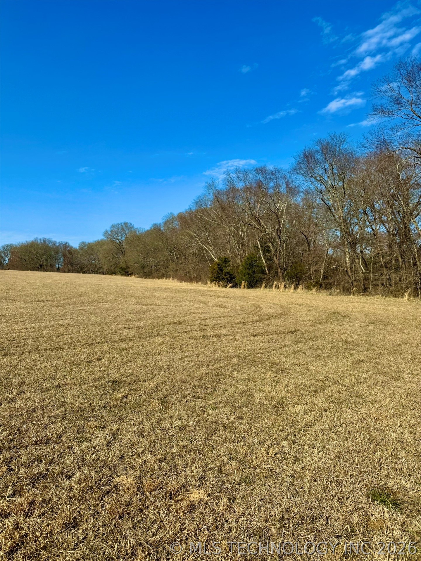 4090 Miller Jumbo Road Property Photo 15
