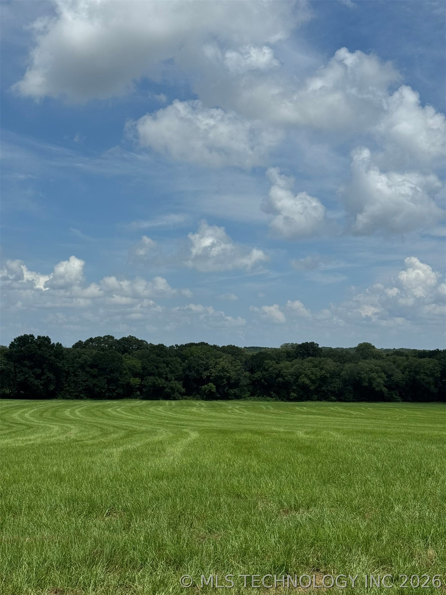 4090 Miller Jumbo Road Property Photo 16