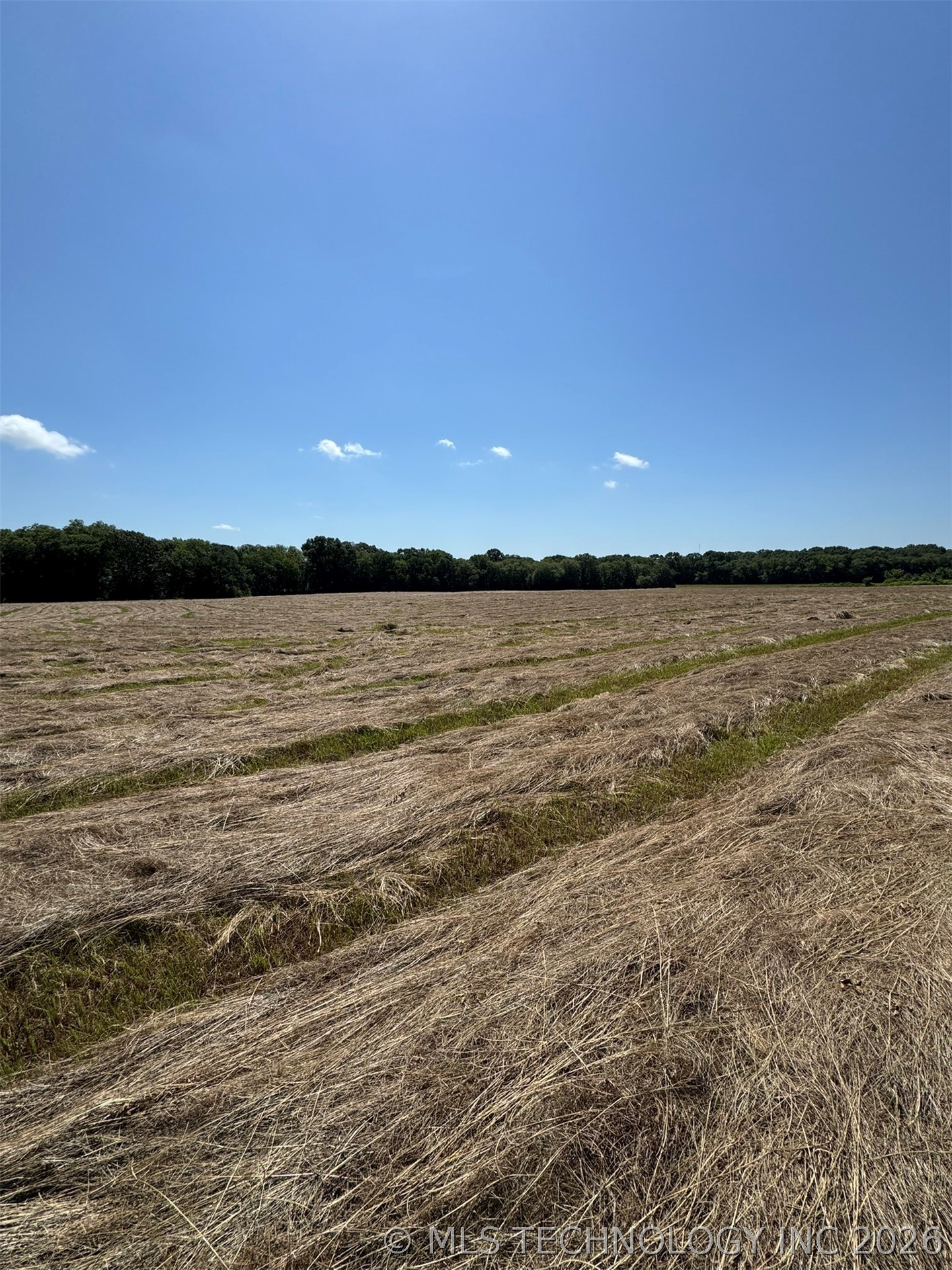 4090 Miller Jumbo Road Property Photo 19