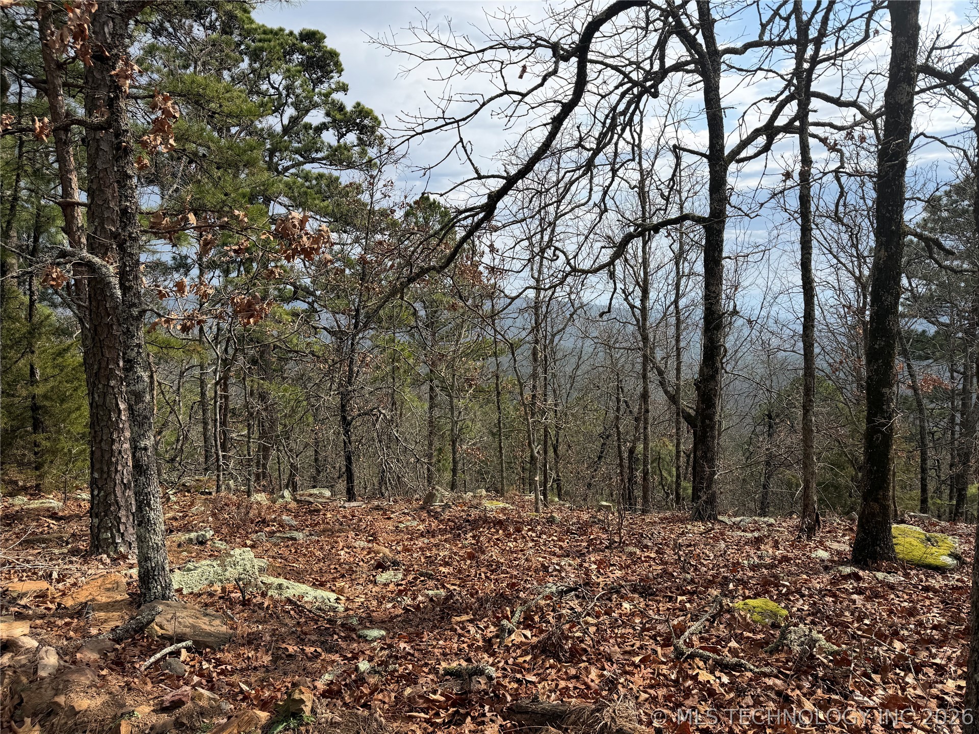 5647 137th Road Property Photo 39