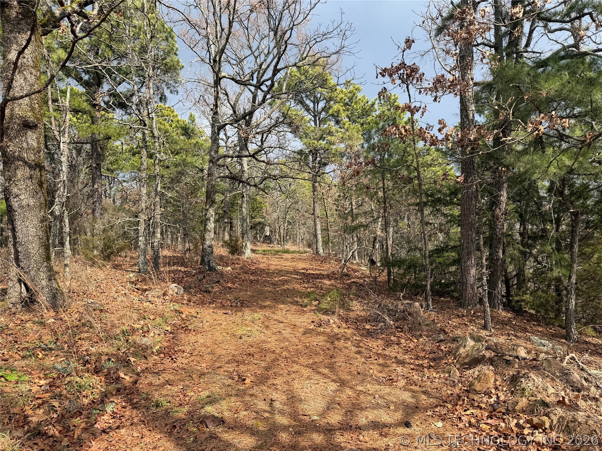 5647 137th Road Property Photo 45