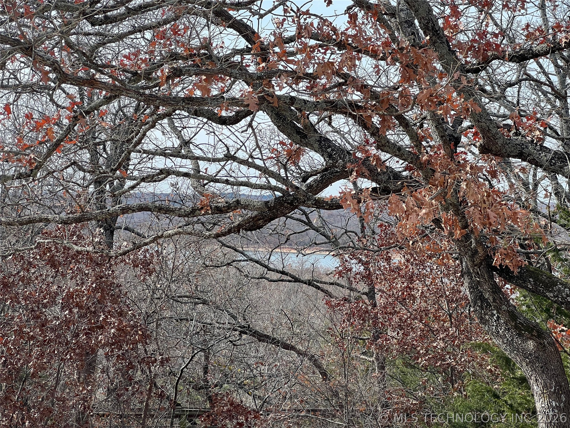 Hilltop Property Photo 4