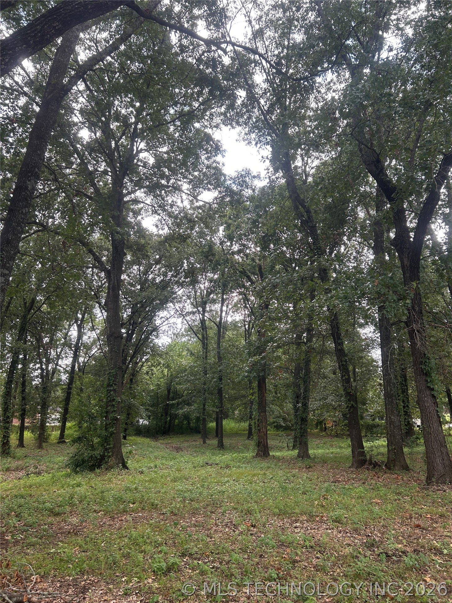 5301 Stonebriar Circle Property Photo 6