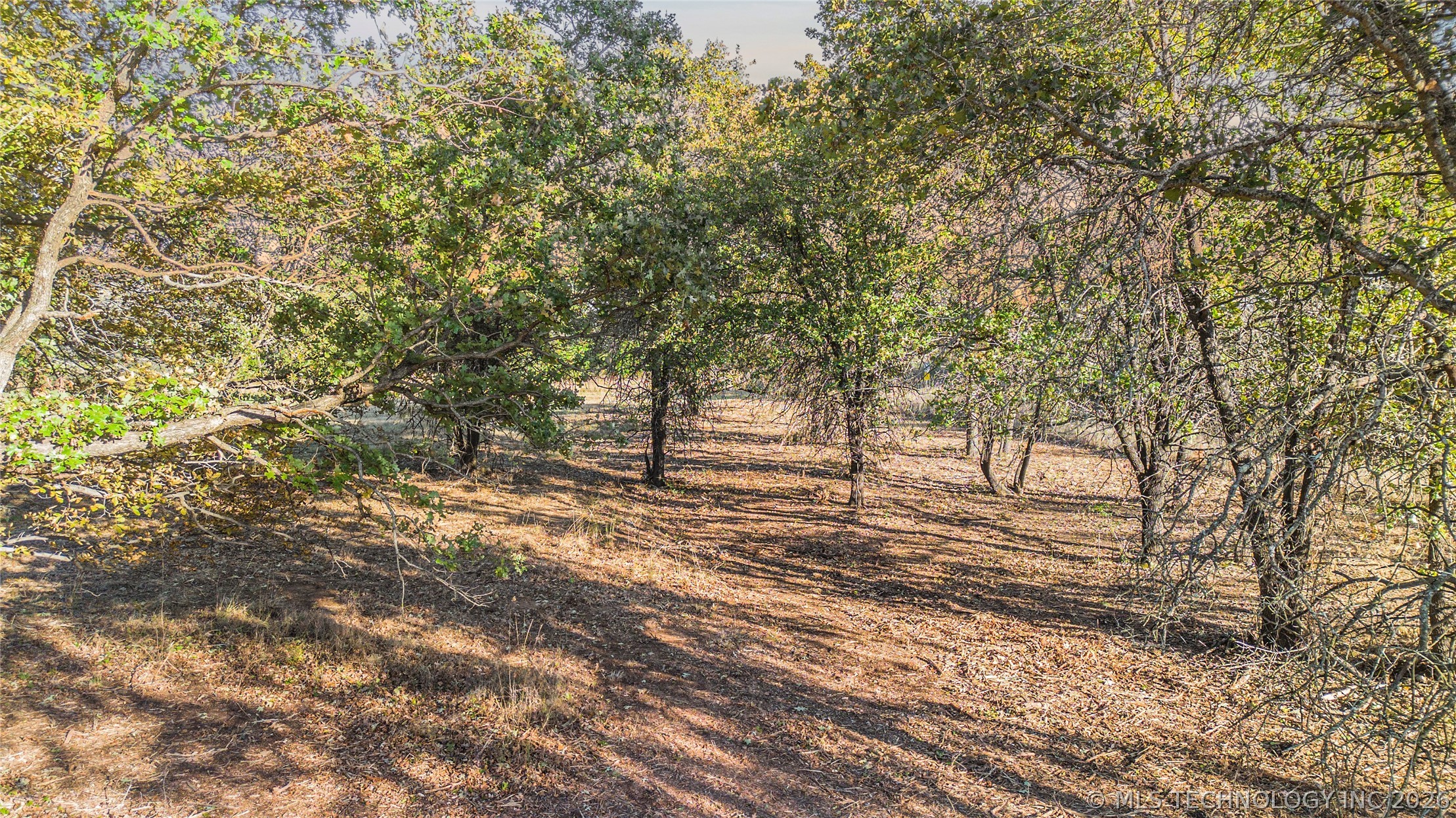 5 E 51st Street Property Photo 18