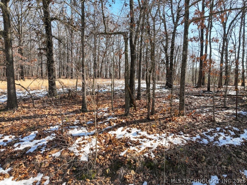 55355 S 520 Road Property Photo 7
