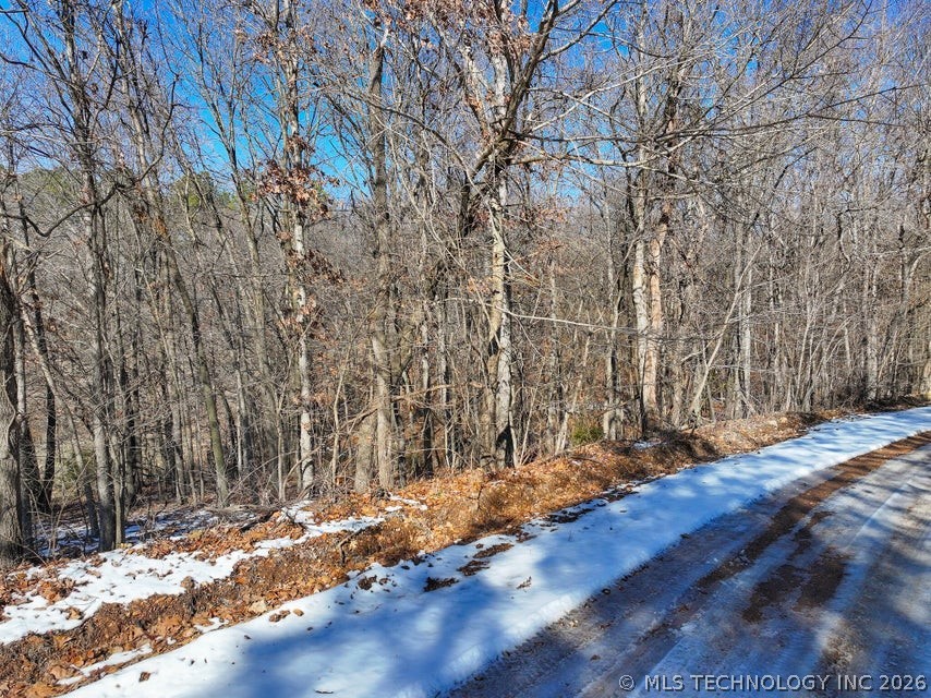 55355 S 520 Road Property Photo 8
