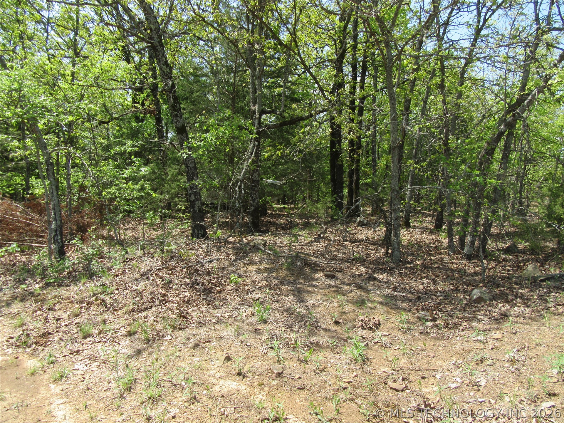 Lick Creek