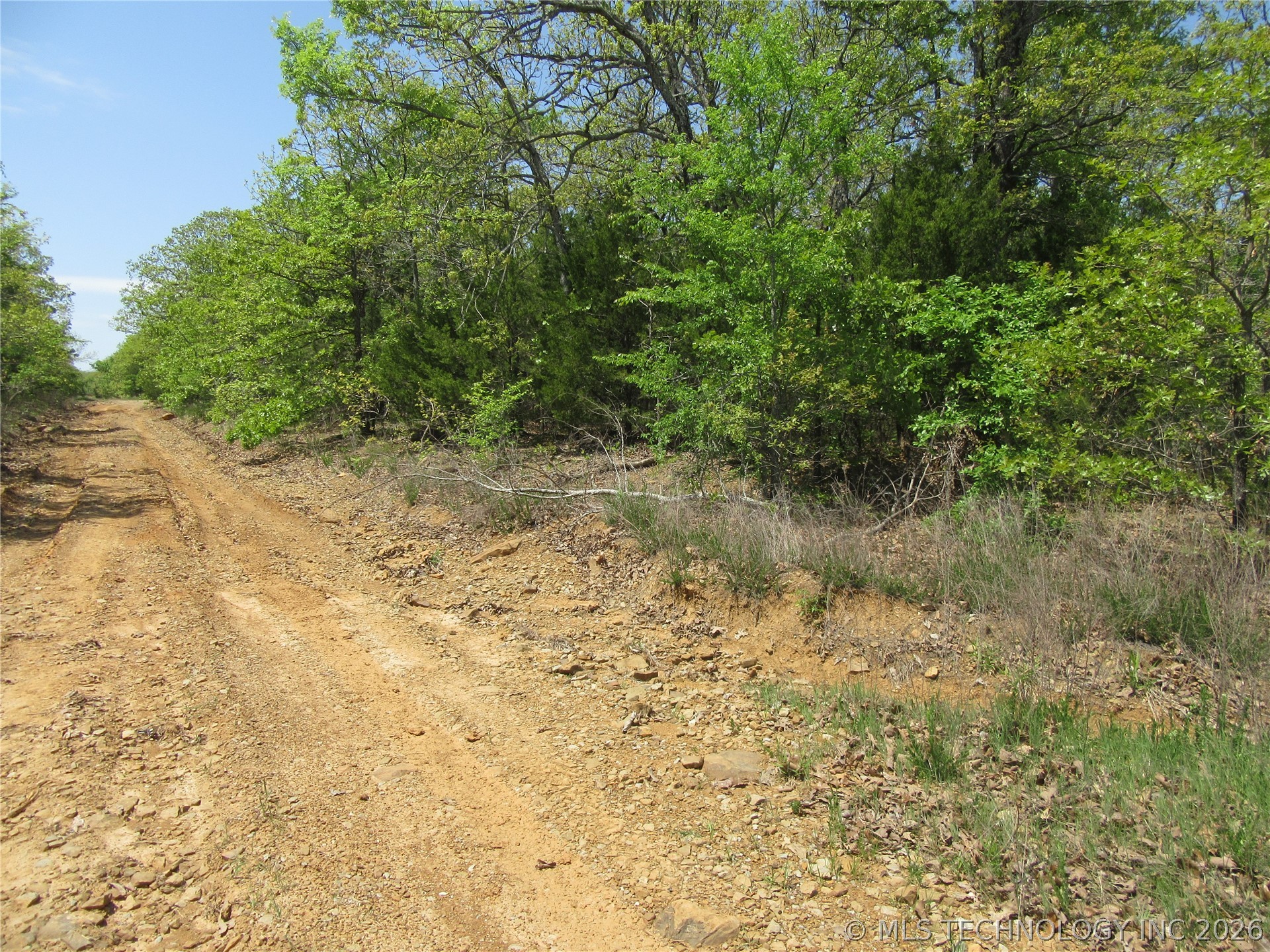 Lick Creek Property Photo 3