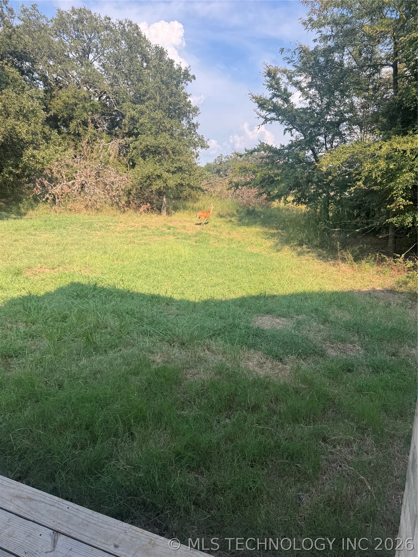 11130 Spanish Oak Property Photo 29