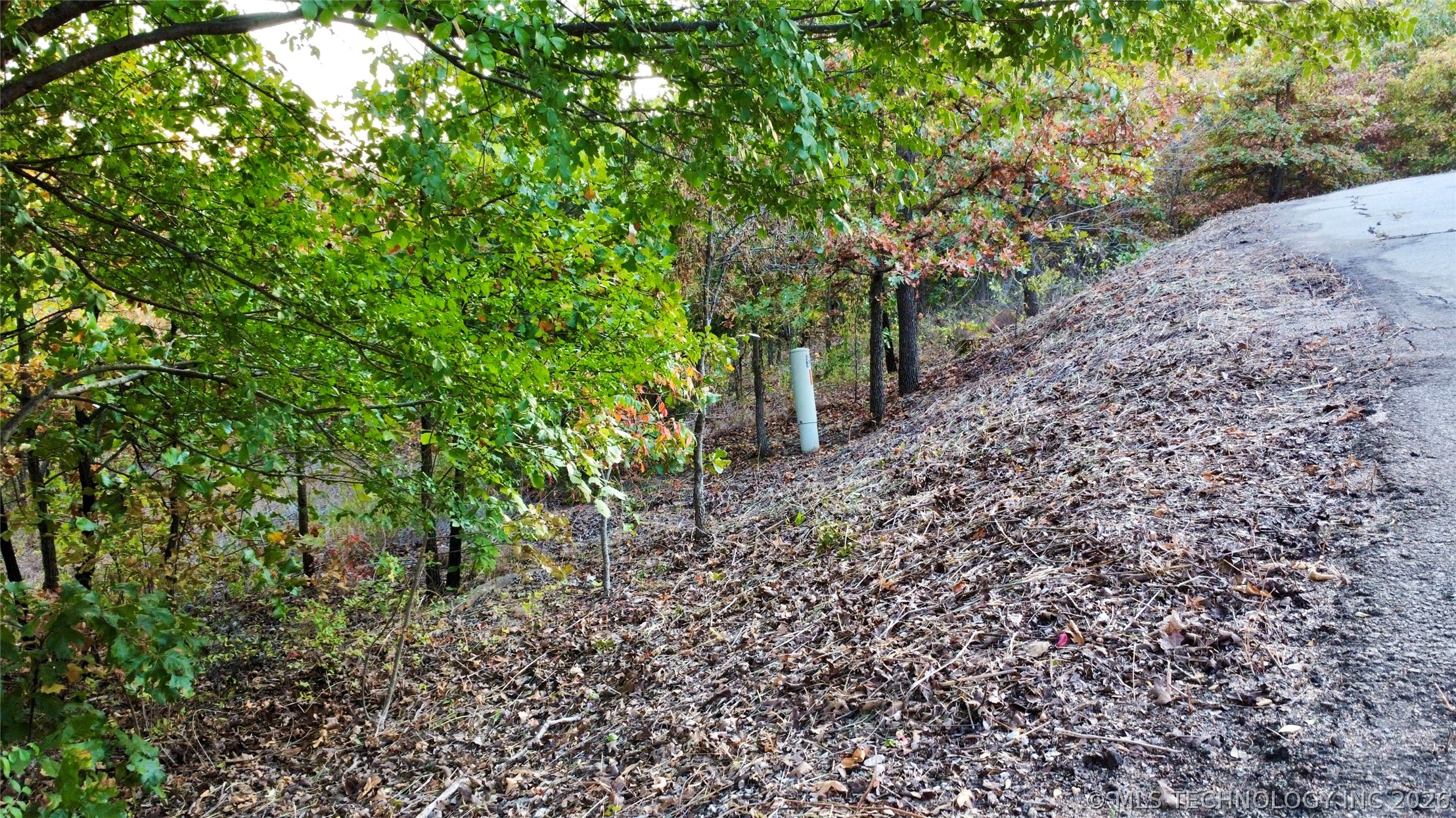 31 Destiny Lane Property Photo 14