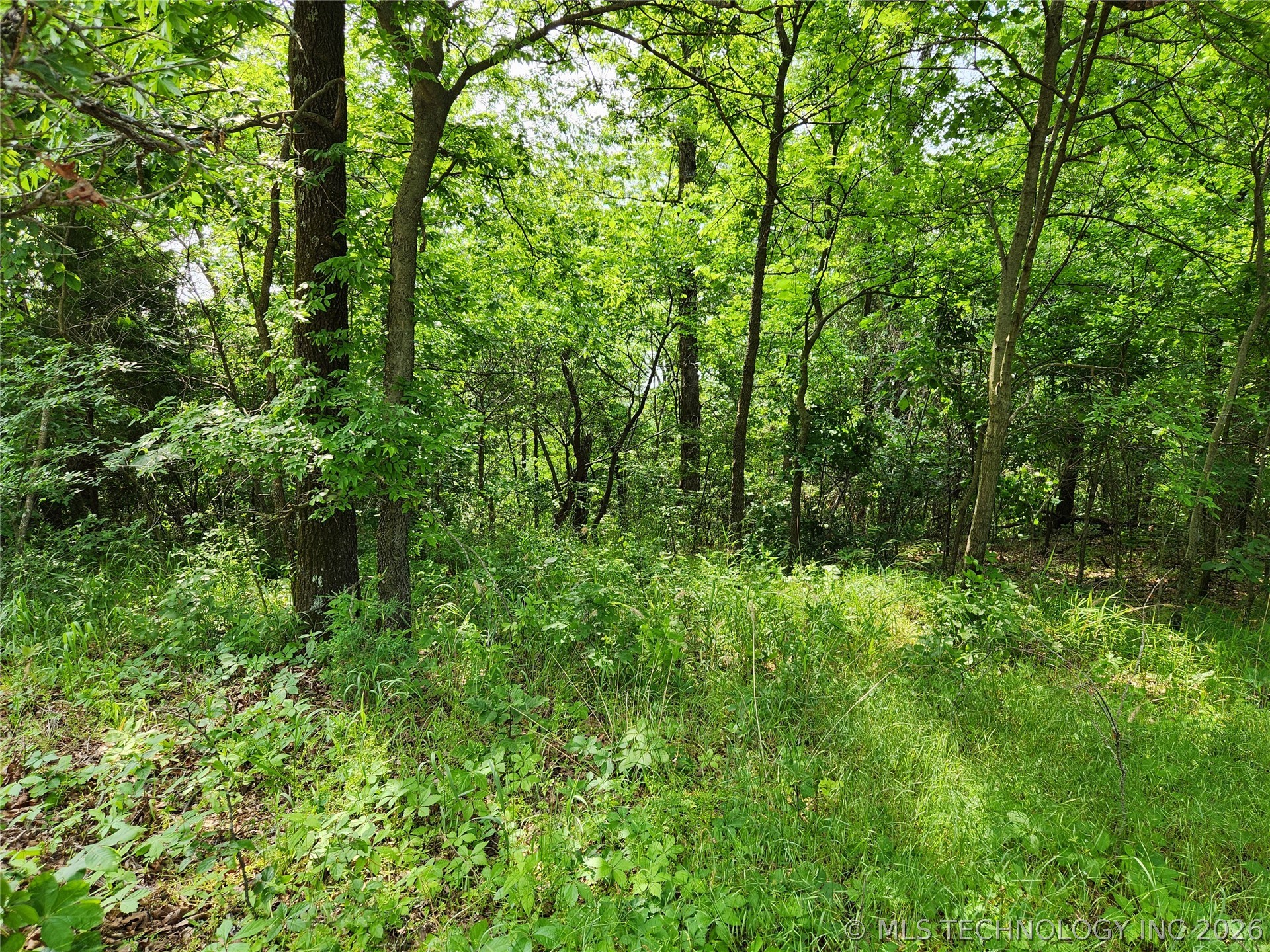 S 043 Road Property Photo 2