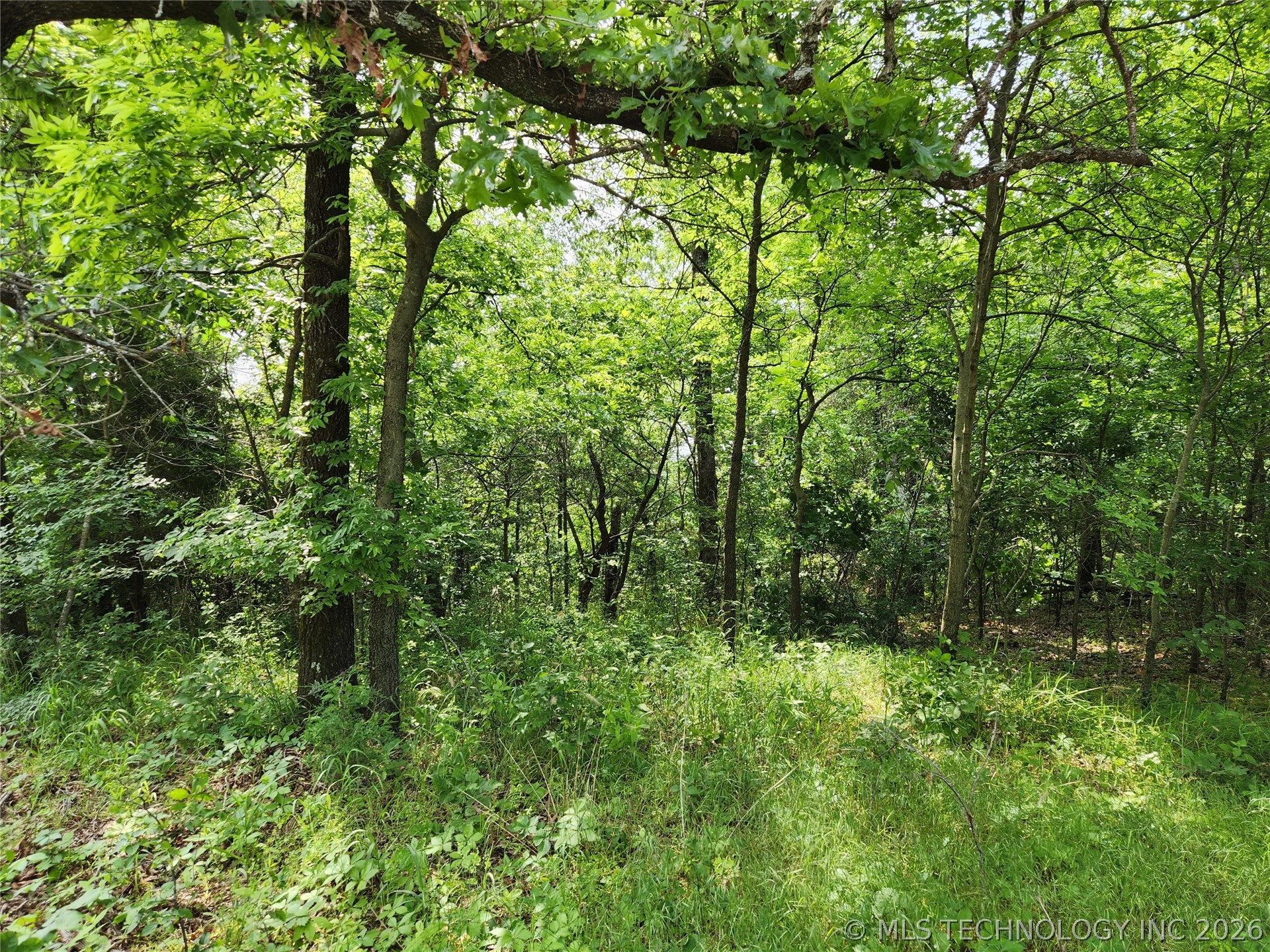 S 043 Road Property Photo 3