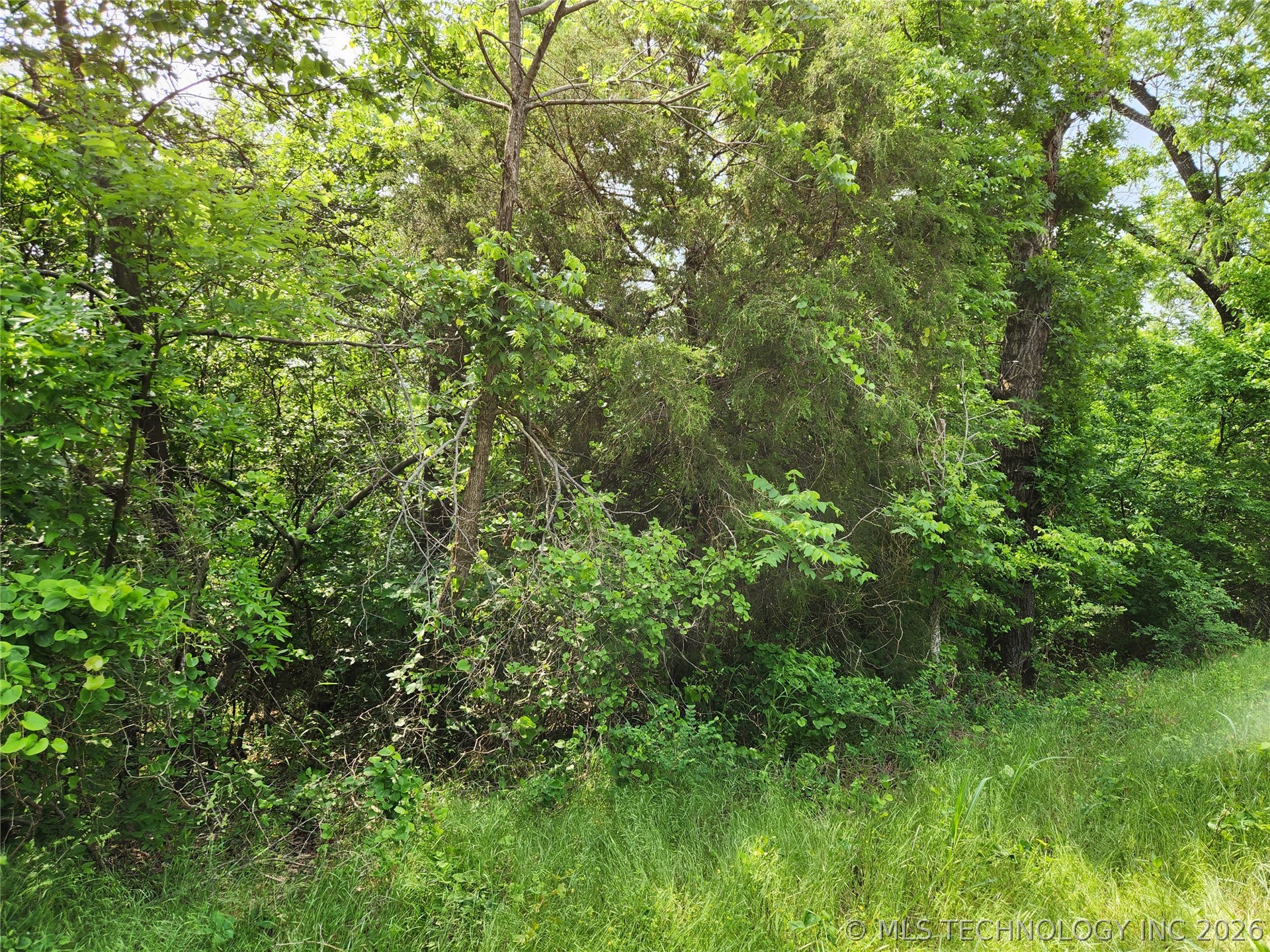S 043 Road Property Photo 4