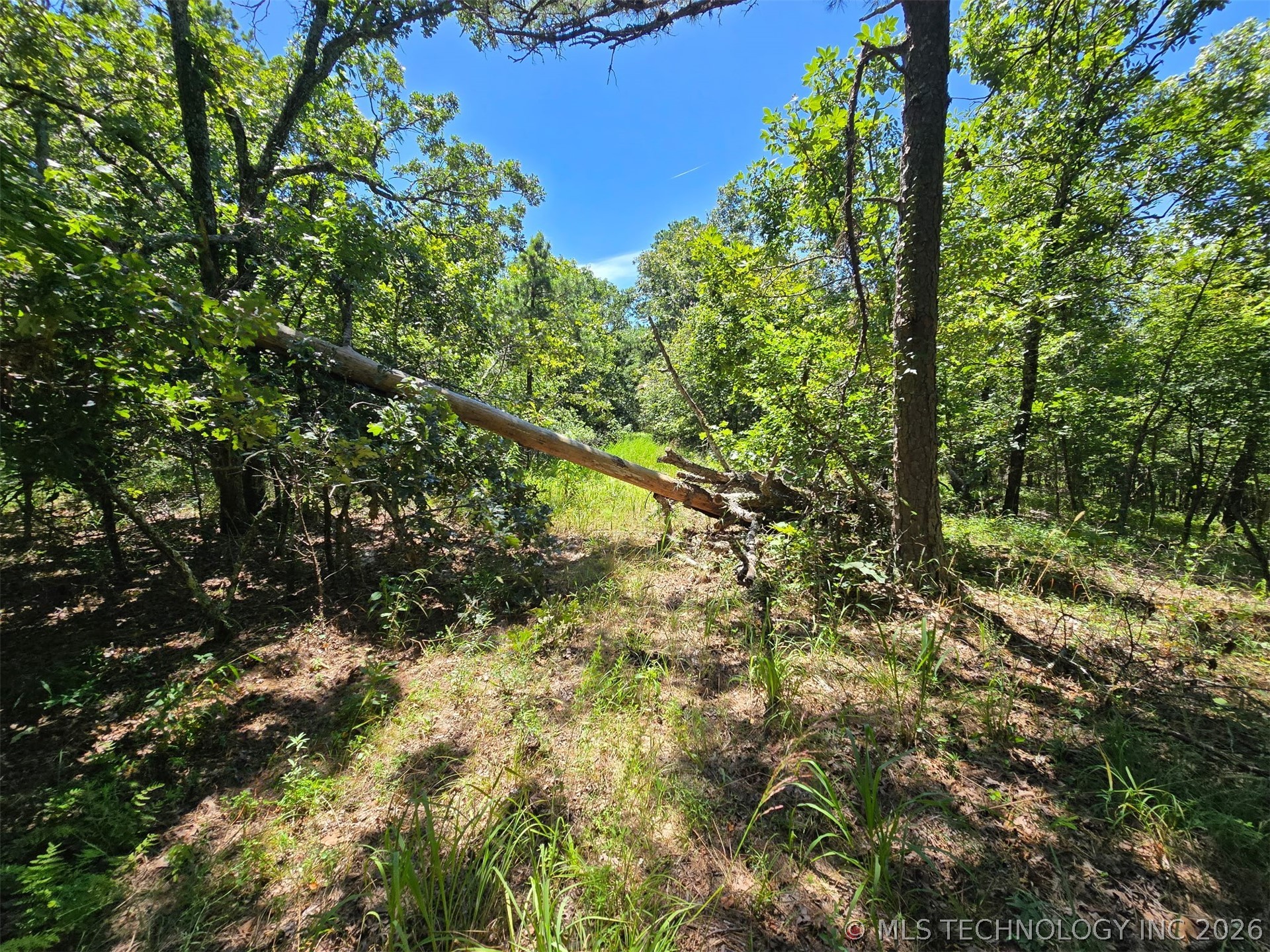 169378 Indian Hwy Property Photo 9