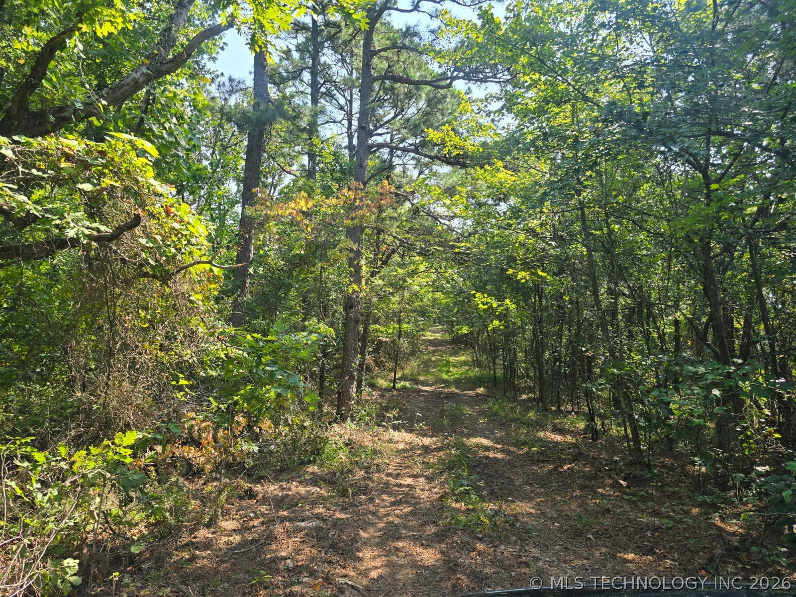 169378 Indian Hwy Property Photo 10