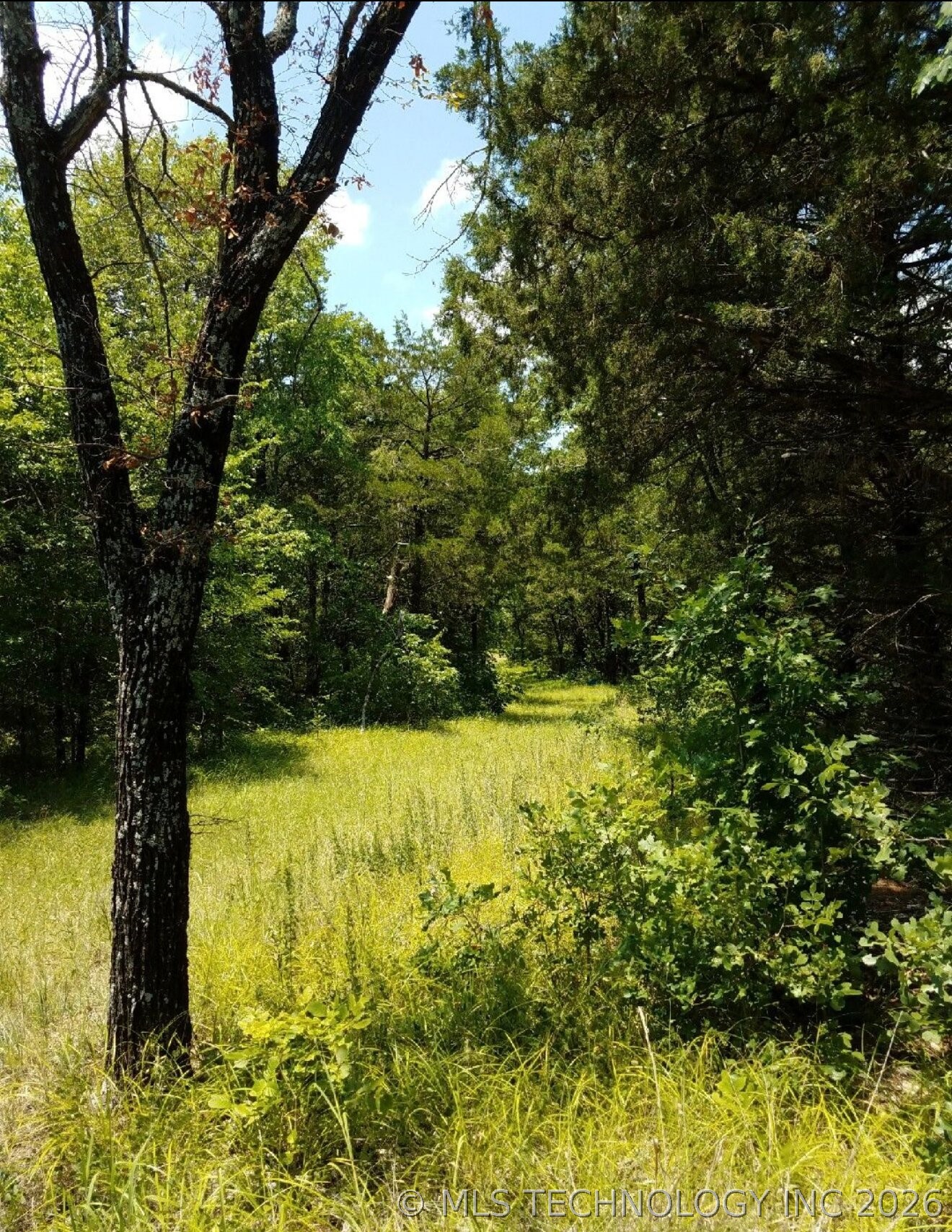 169378 Indian Hwy Property Photo 13