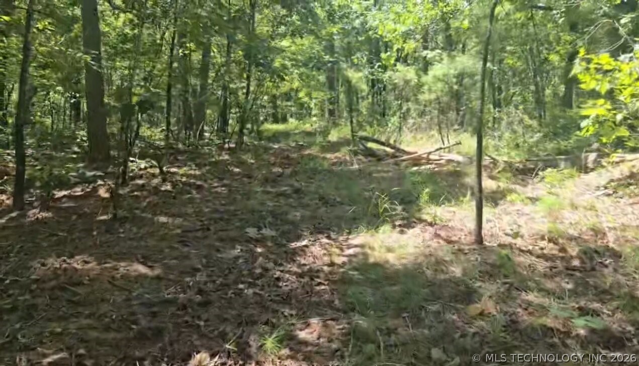 169378 Indian Hwy Property Photo 16