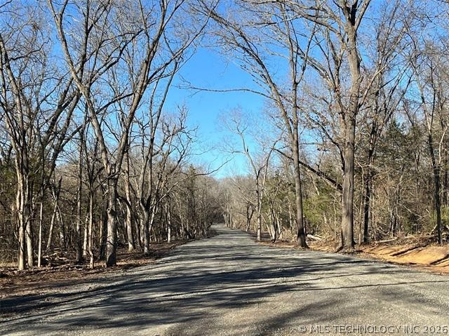 35 Tumbleweed Trail Property Photo 8