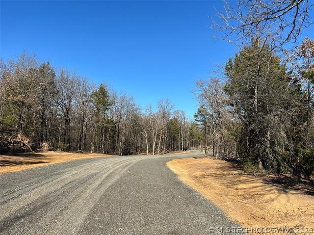 35 Tumbleweed Trail Property Photo 9