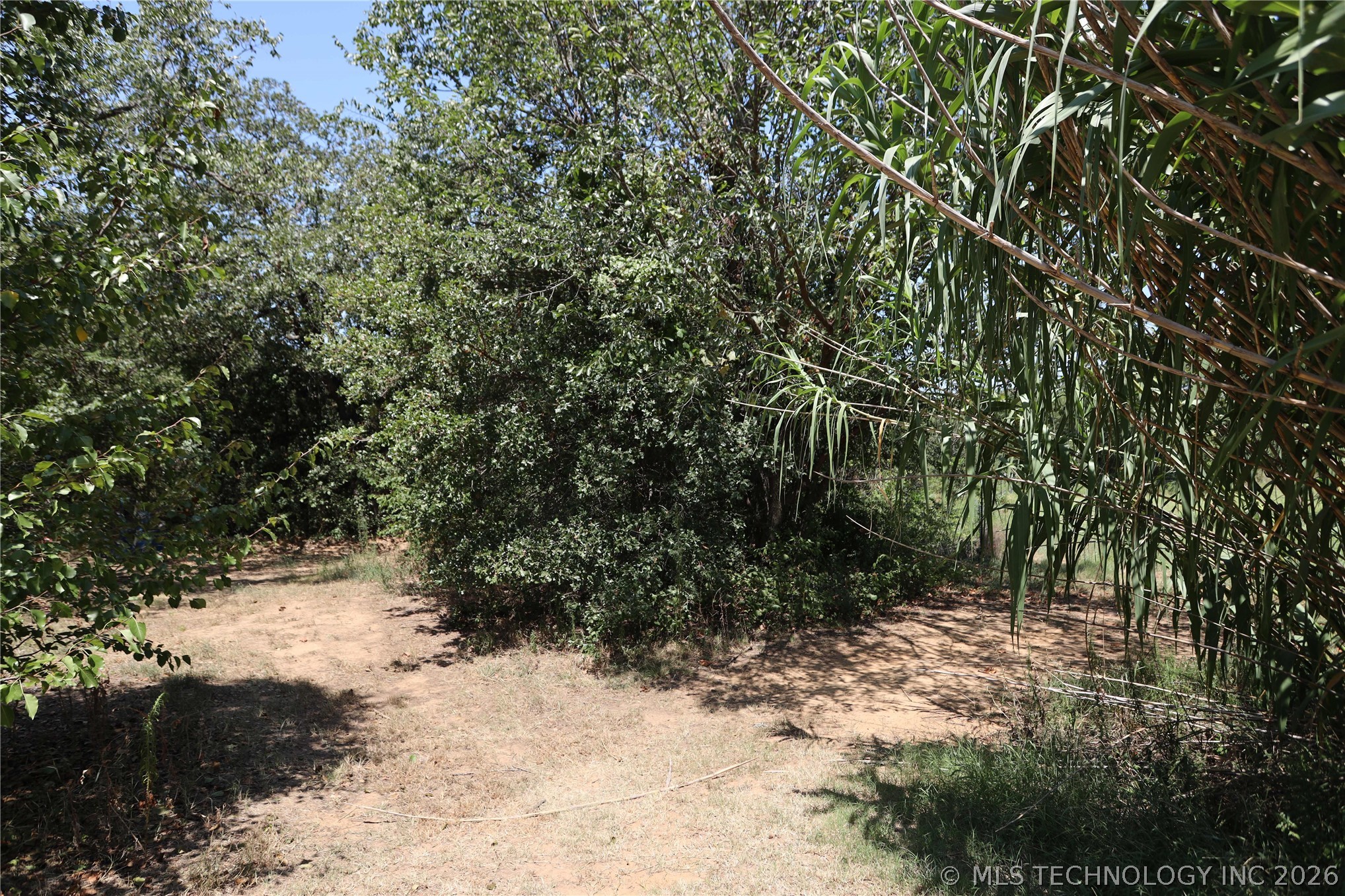 701 Young Road Property Photo 46