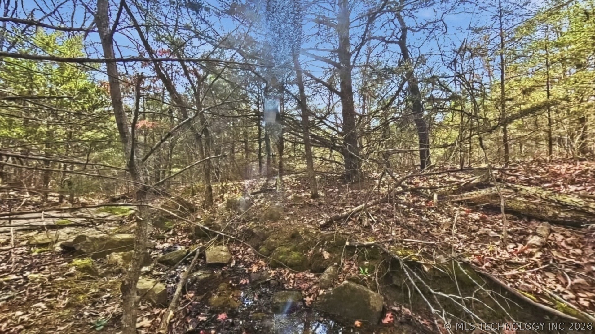 677 S Highway 99 Highway Property Photo 10