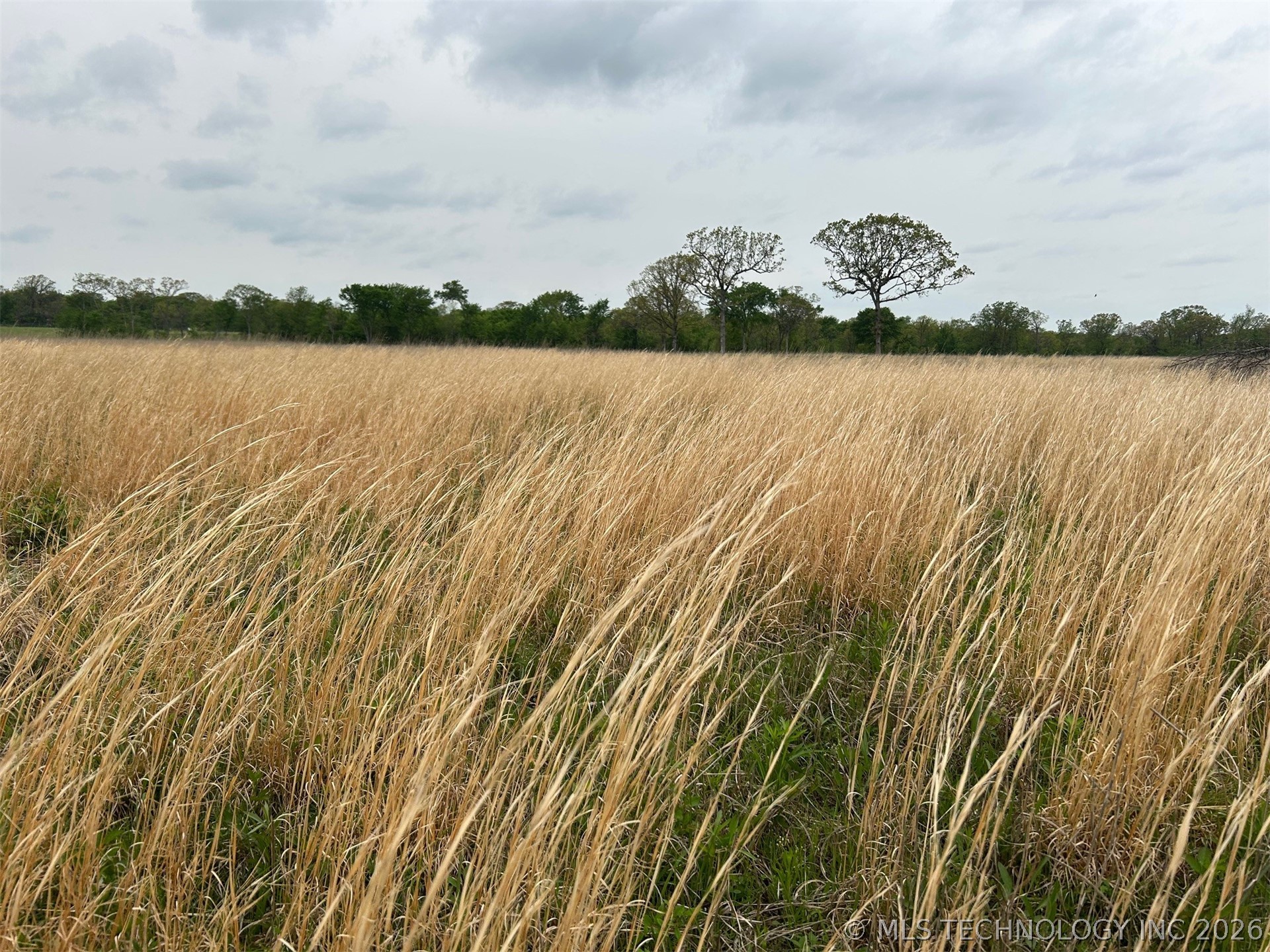 14091 Creager Road Property Photo 4