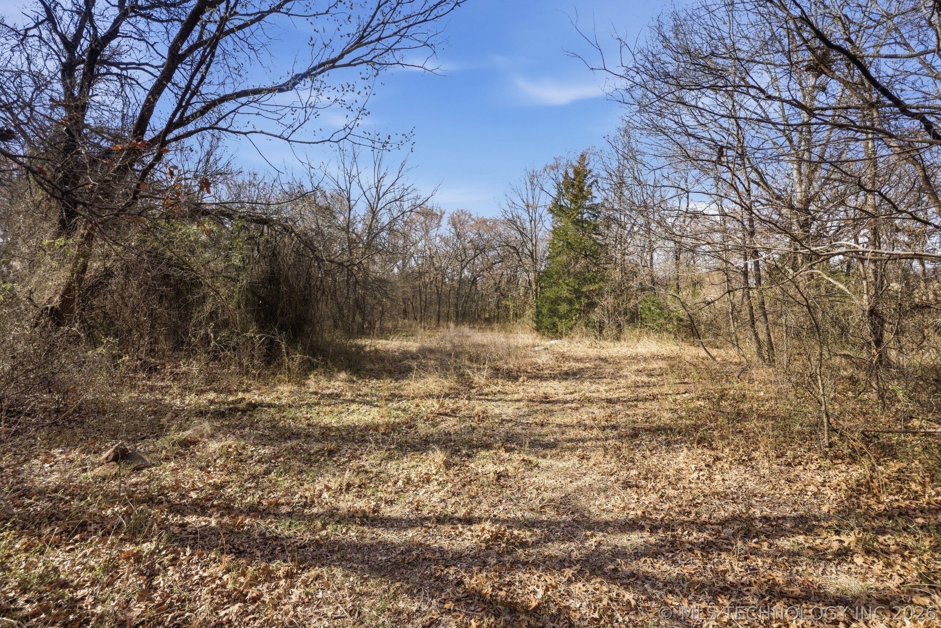 1234 Carter Road Property Photo 9