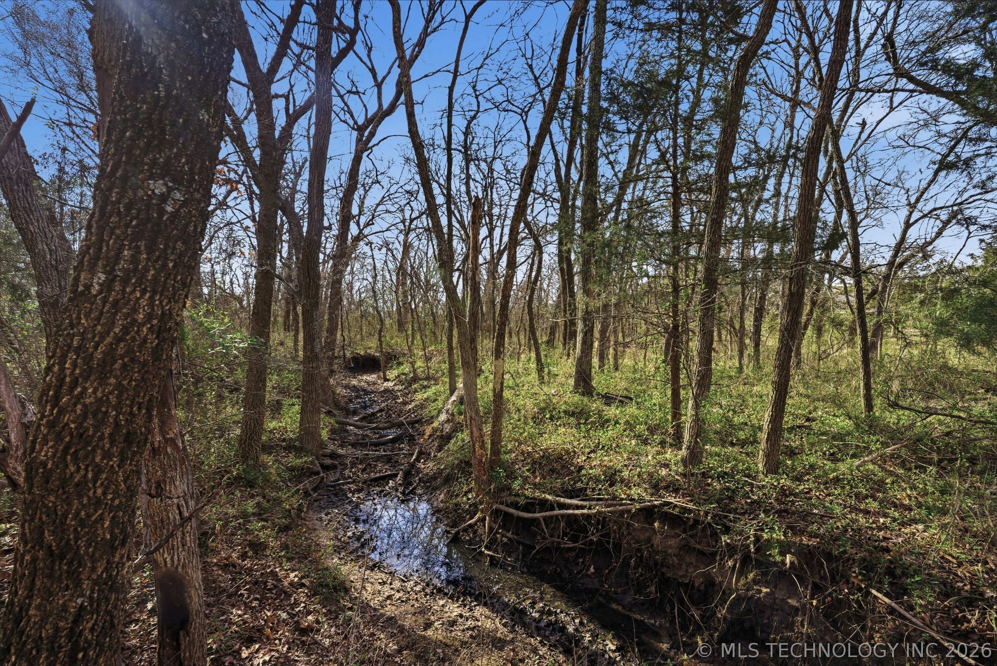 1234 Carter Road Property Photo 20