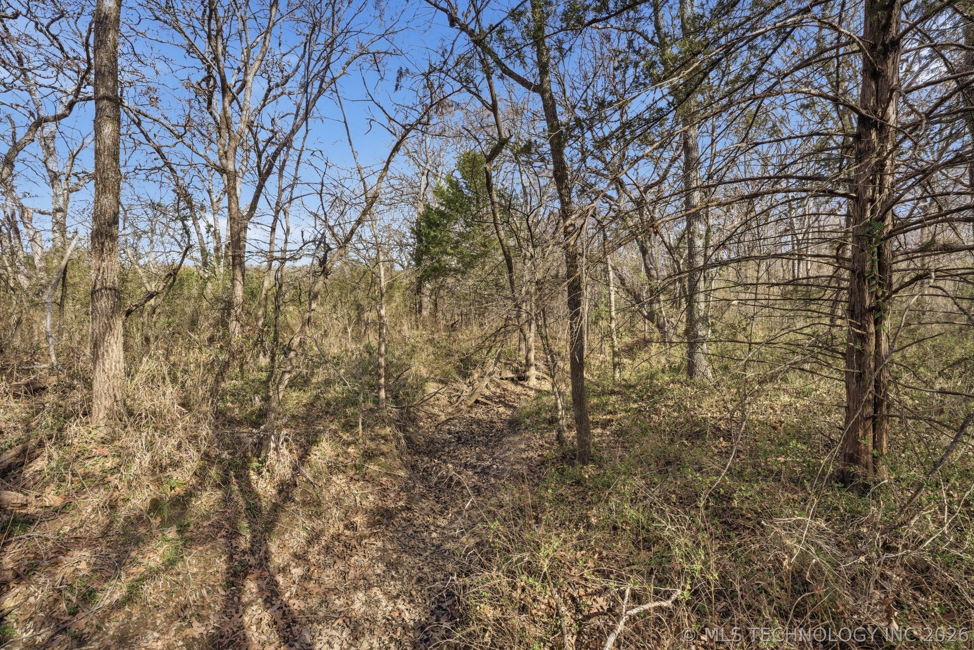 1234 Carter Road Property Photo 21