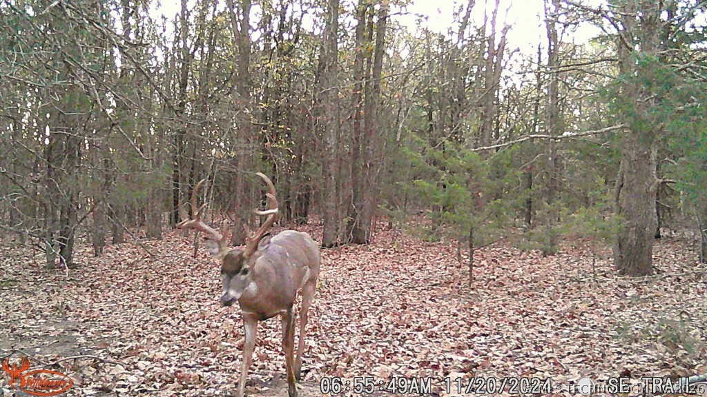 0001 Slab Road Property Photo 22