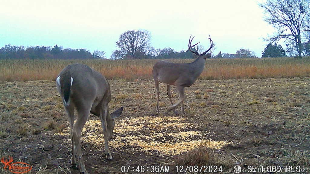 0001 Slab Road Property Photo 24