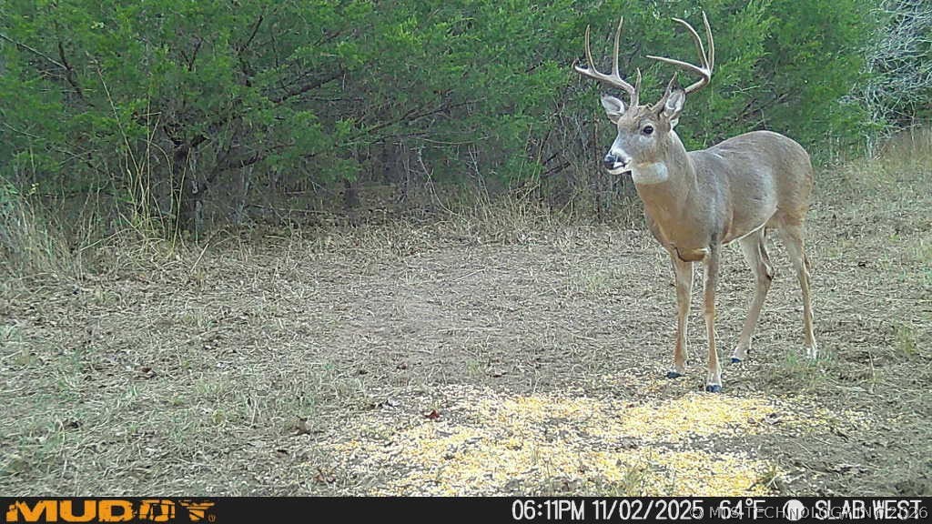 0001 Slab Road Property Photo 25
